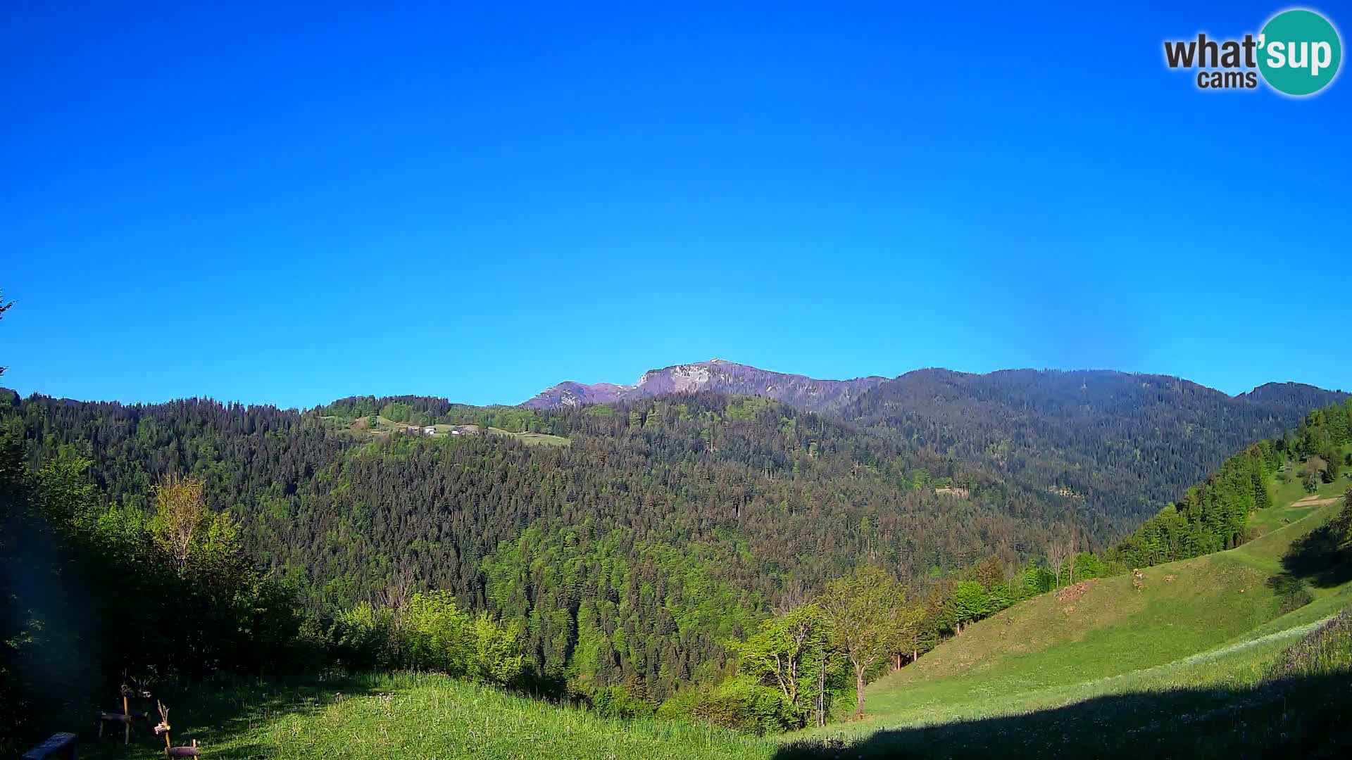 Webcam Brunarica Dražgoše – Live View of Ratitovec (1666 m)