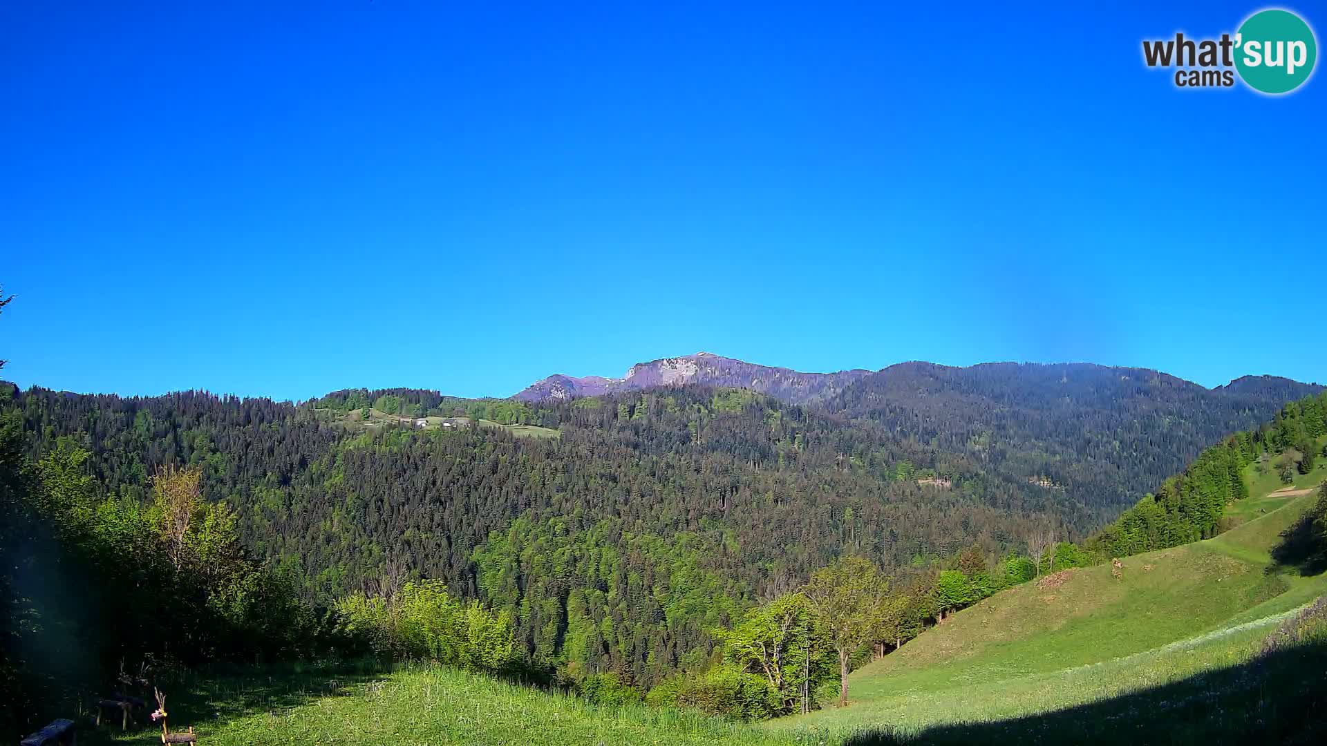 Webcam Brunarica Dražgoše – Live View of Ratitovec (1666 m)