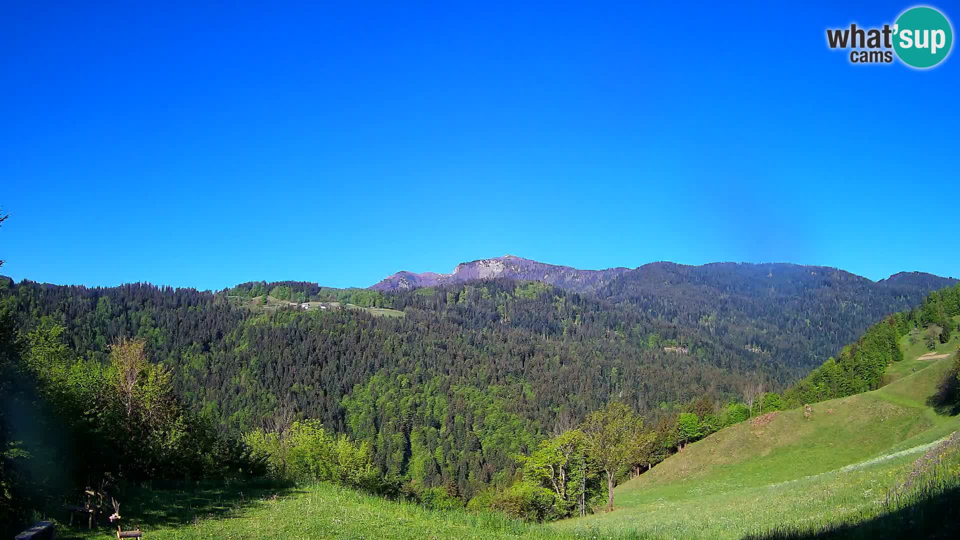 Webcam Brunarica Dražgoše – Live View of Ratitovec (1666 m)