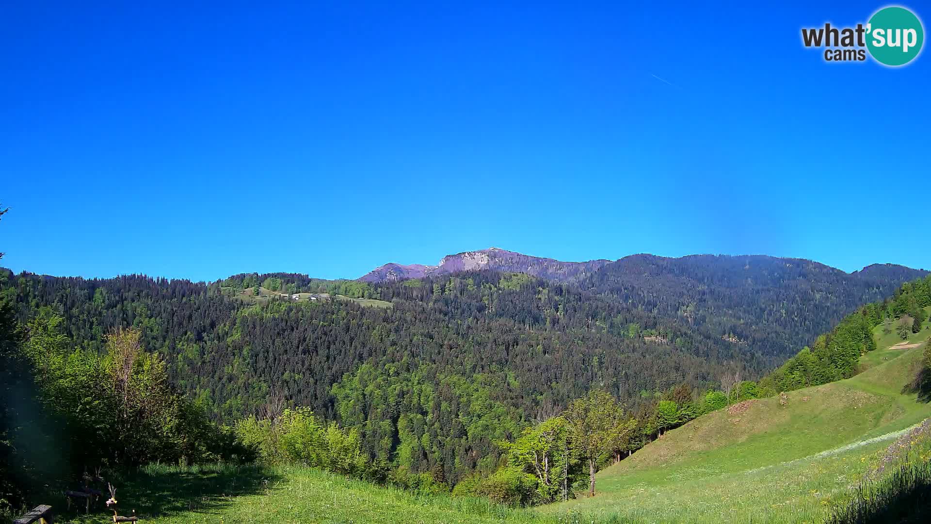 Webcam Brunarica Dražgoše – Live View of Ratitovec (1666 m)