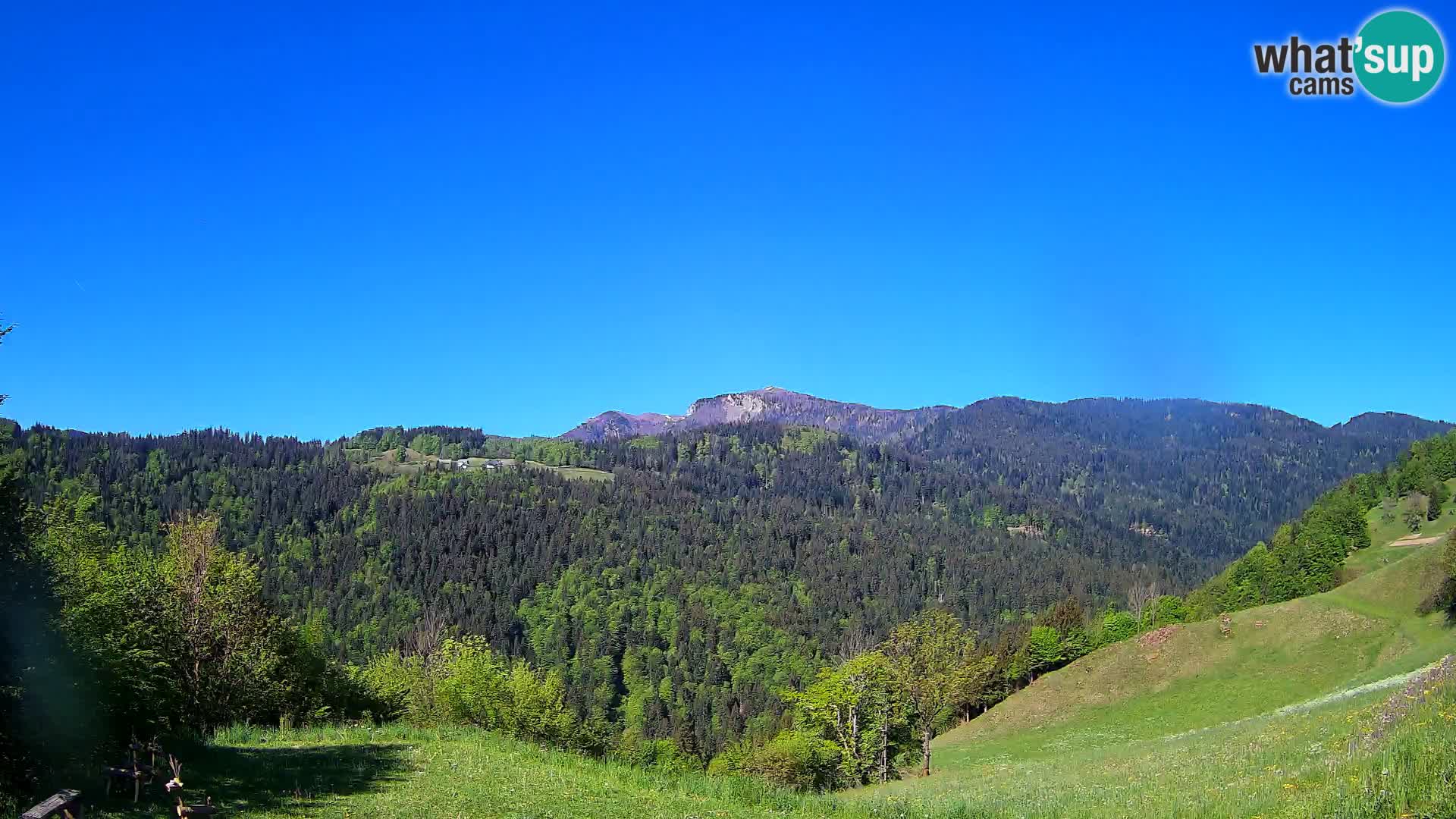 Webcam Brunarica Dražgoše – Live View of Ratitovec (1666 m)