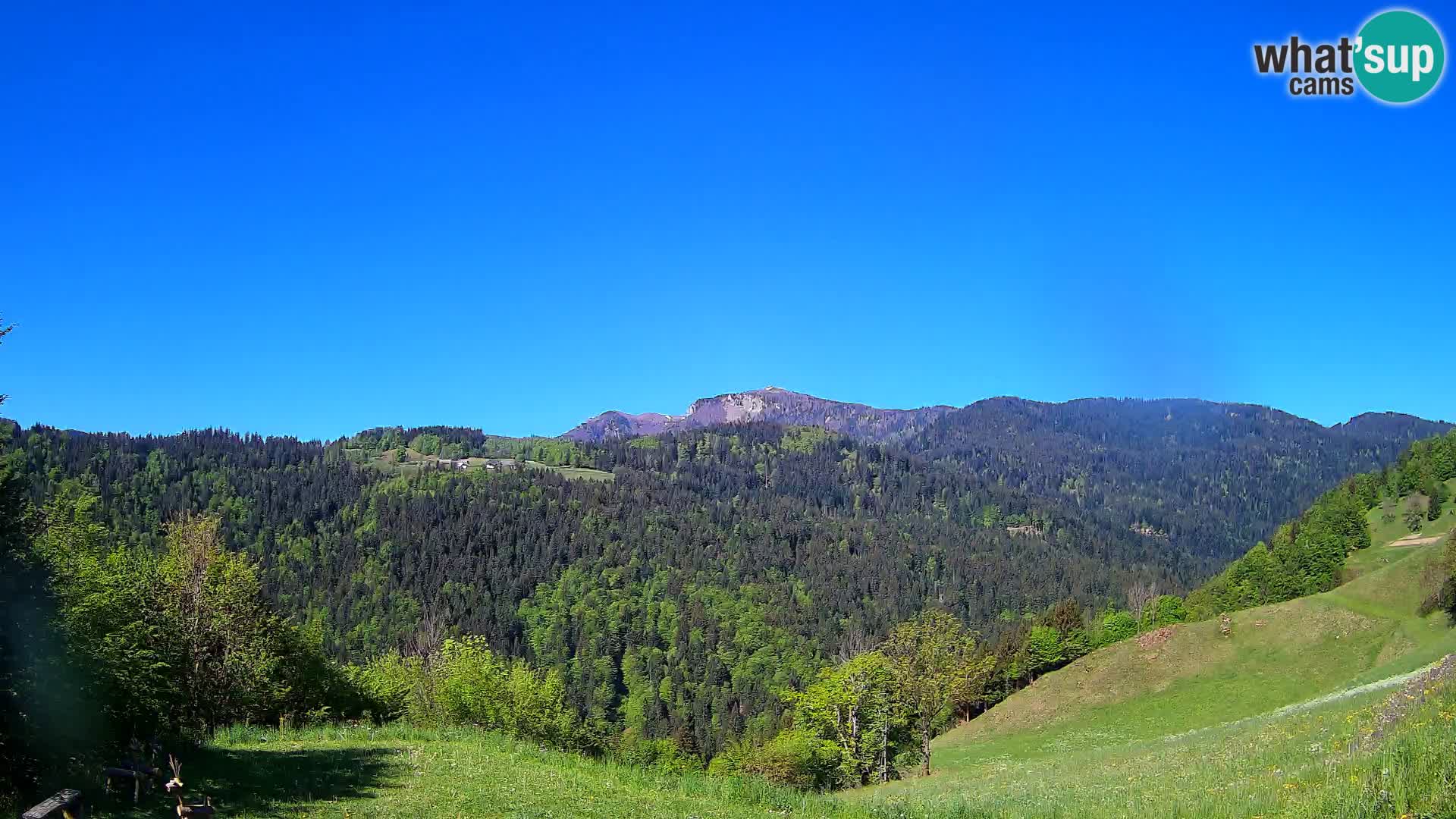 Webcam Brunarica Dražgoše – Live View of Ratitovec (1666 m)