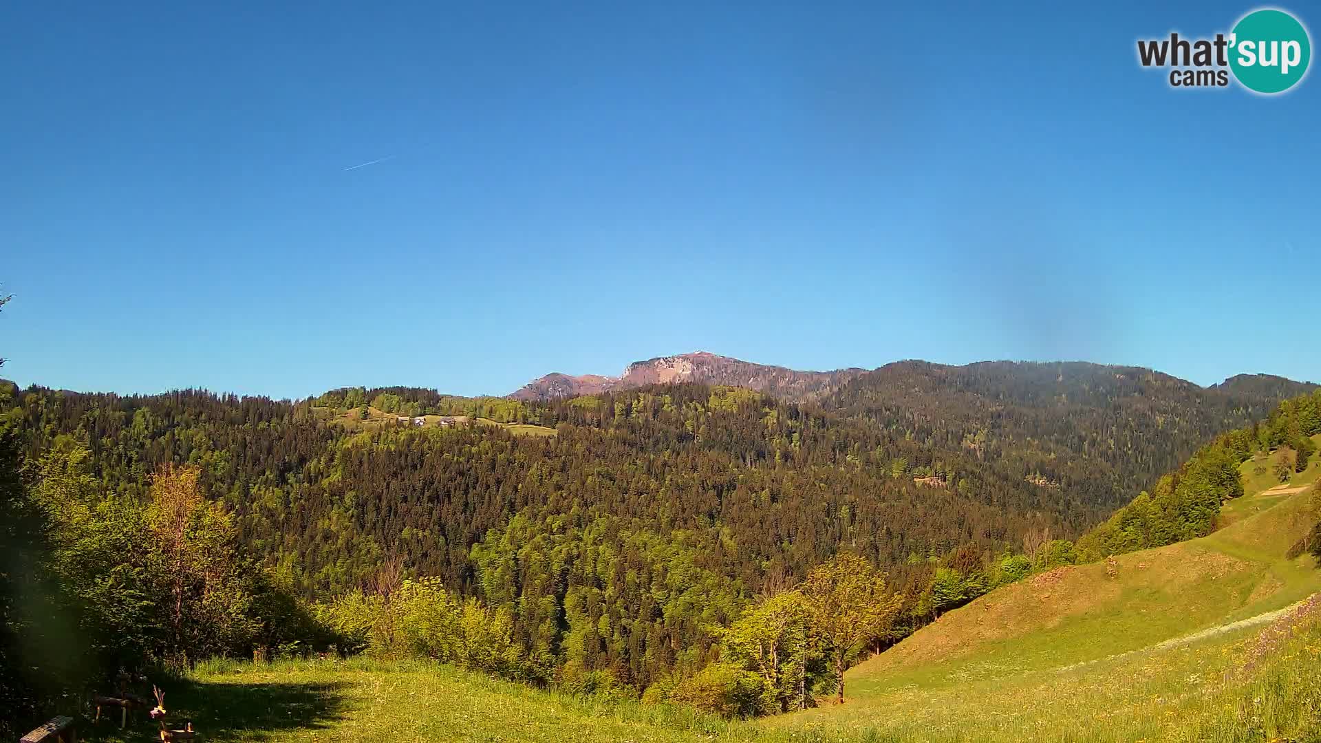 Webcam Brunarica Dražgoše – Liveblick auf Ratitovec (1666 m)