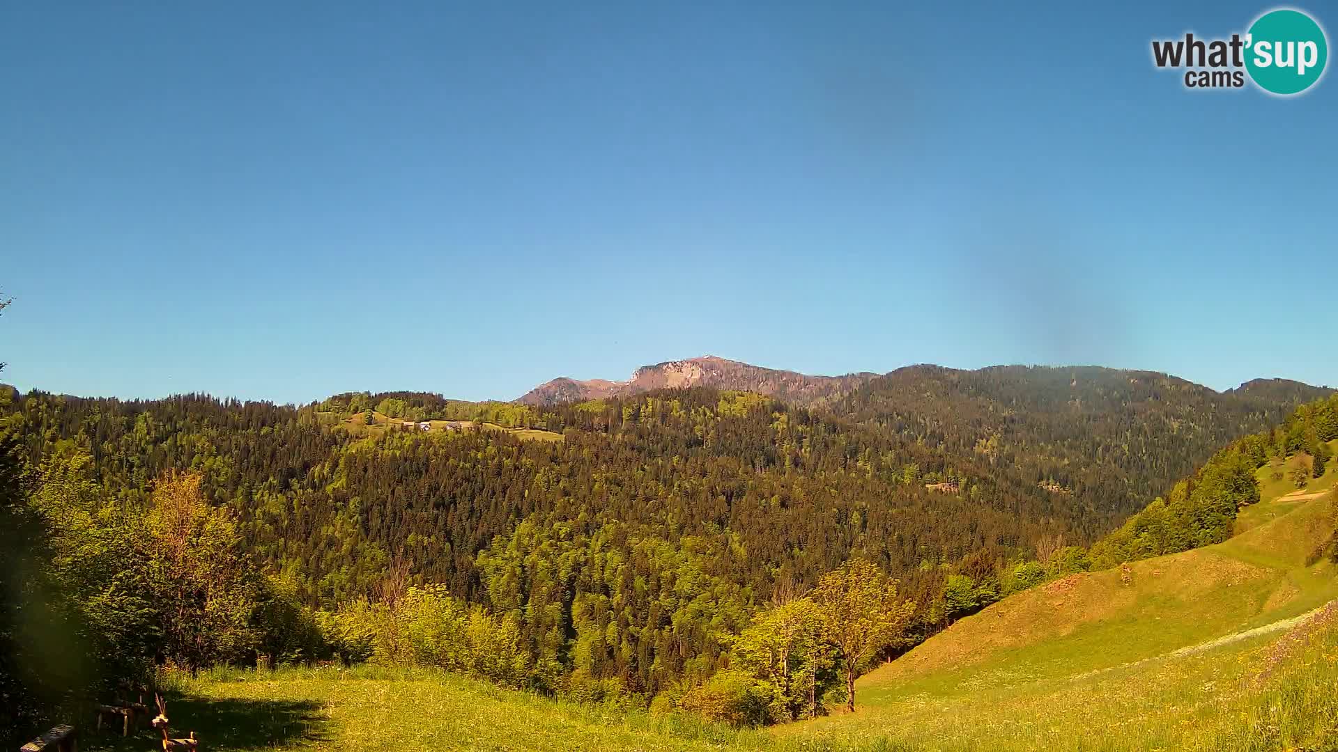 Webcam Brunarica Dražgoše – Live View of Ratitovec (1666 m)