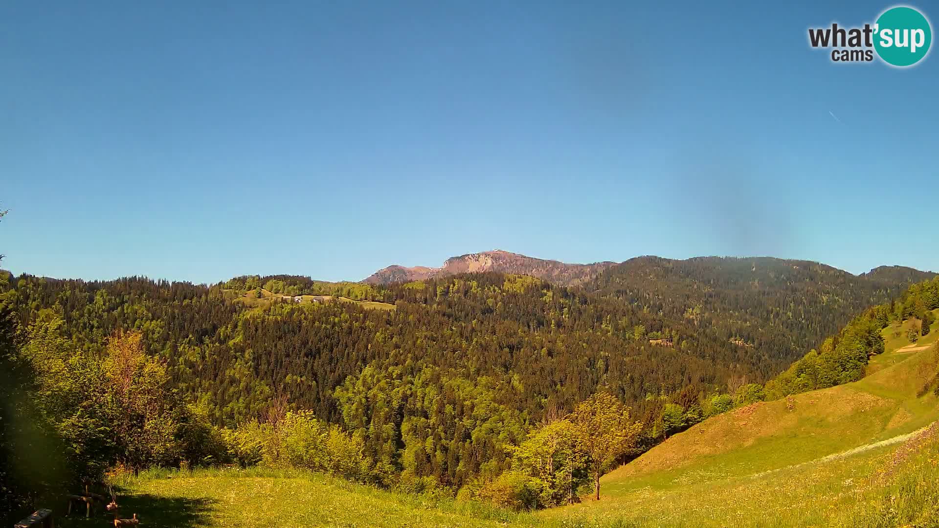 Webcam Brunarica Dražgoše – Vista live sul Ratitovec (1666 m)