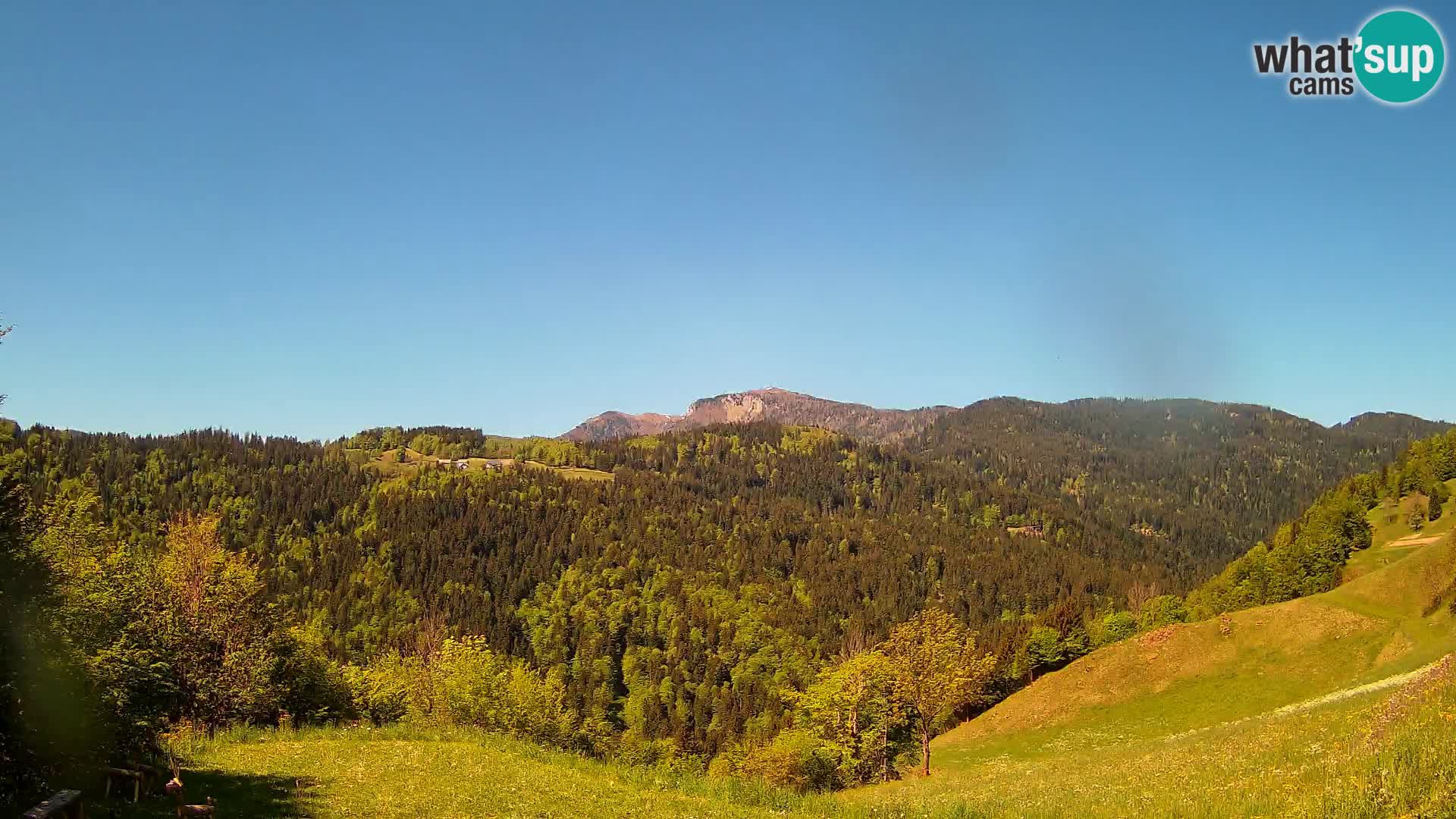Spletna kamera Brunarica Dražgoše – Pogled v živo na Ratitovec (1666 m)