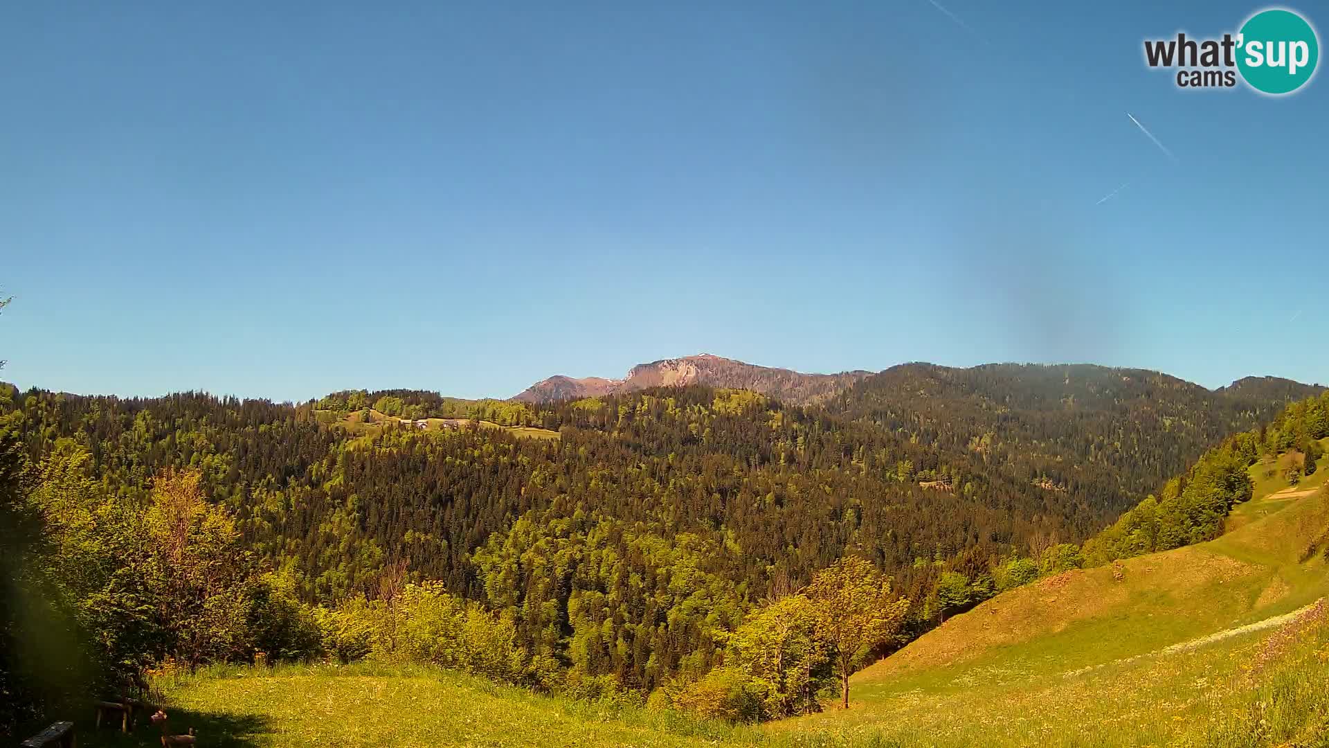 Web kamera Brunarica Dražgoše – Pogled uživo na Ratitovec (1666 m)