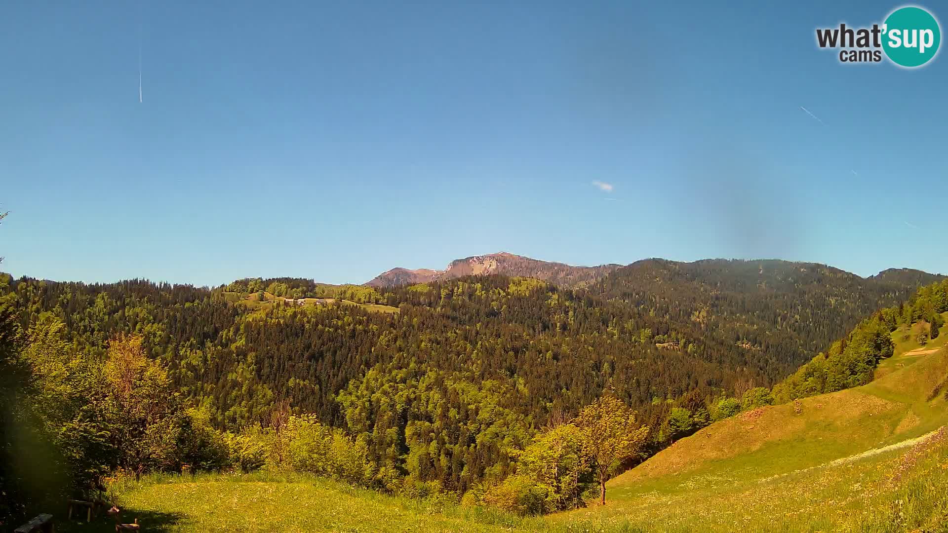 Webcam Brunarica Dražgoše – Live View of Ratitovec (1666 m)