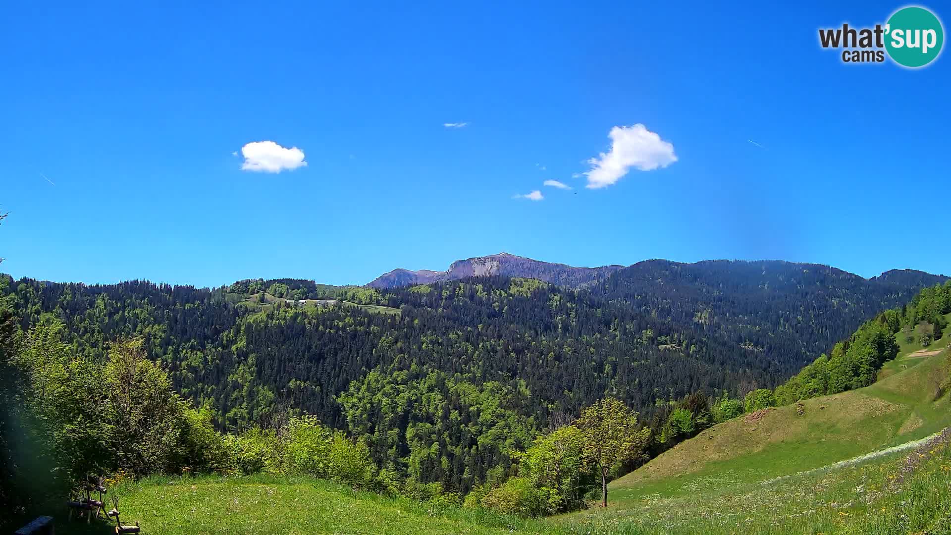 Webcam Brunarica Dražgoše – Vista live sul Ratitovec (1666 m)