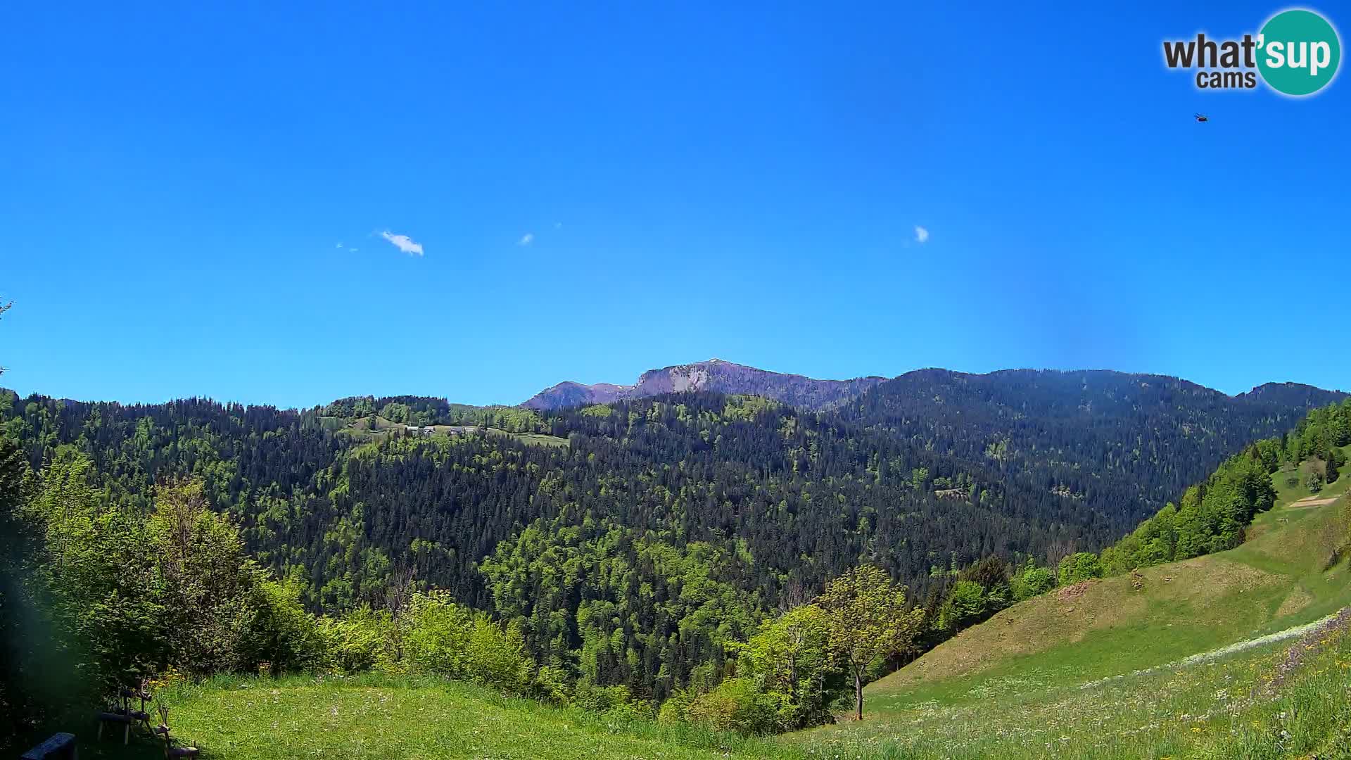 Webcam Brunarica Dražgoše – Live View of Ratitovec (1666 m)
