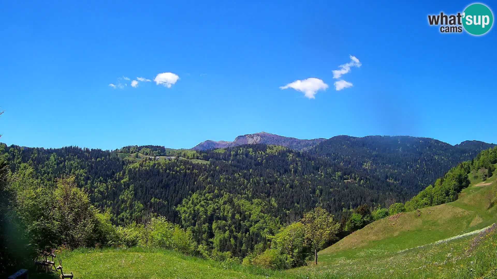 Webcam Brunarica Dražgoše – Live View of Ratitovec (1666 m)