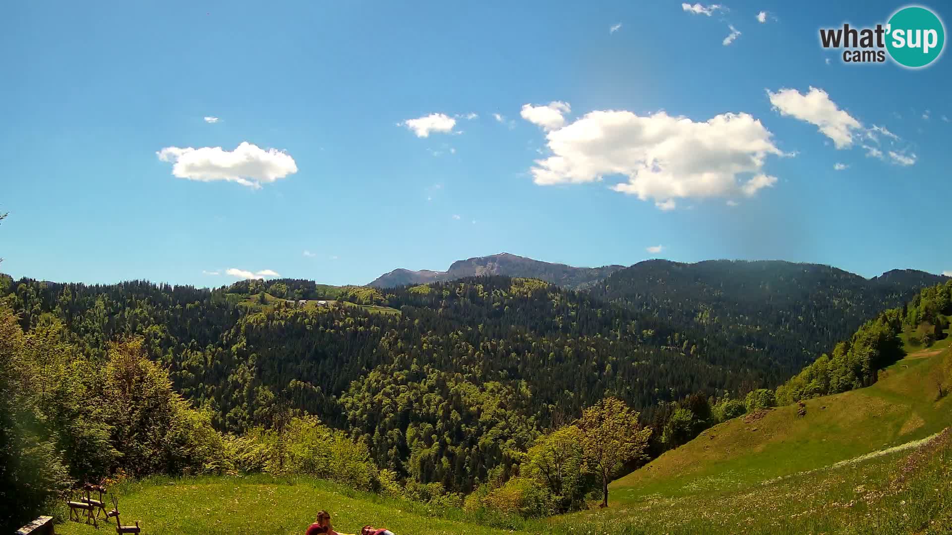 Webcam Brunarica Dražgoše – Live View of Ratitovec (1666 m)