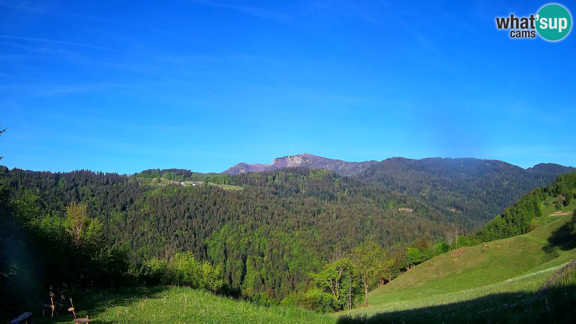 Webcam Brunarica Dražgoše – Live View of Ratitovec (1666 m)