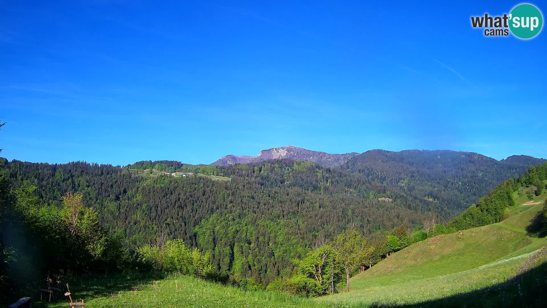 Webcam Brunarica Dražgoše – Live View of Ratitovec (1666 m)