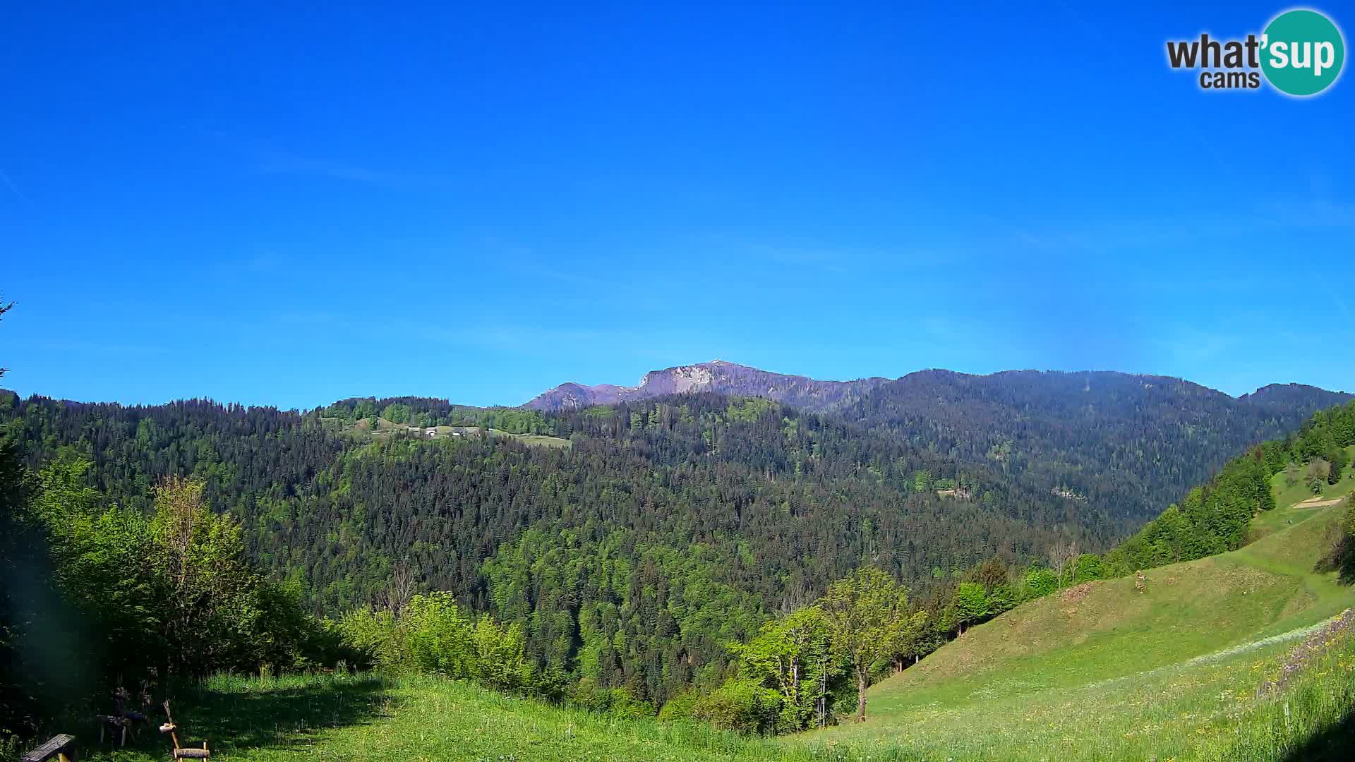 Webcam Brunarica Dražgoše – Liveblick auf Ratitovec (1666 m)