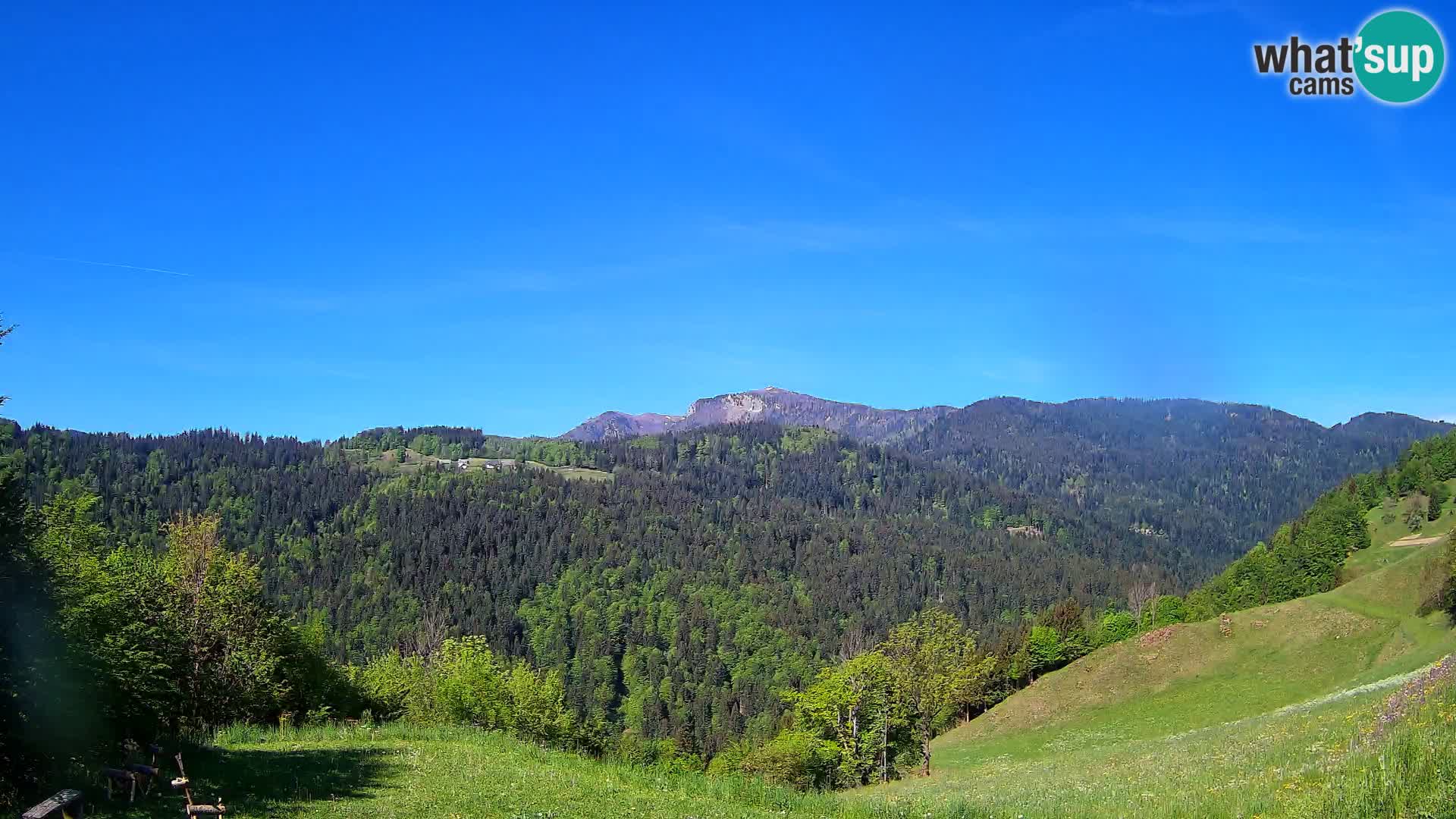 Webcam Brunarica Dražgoše – Live View of Ratitovec (1666 m)