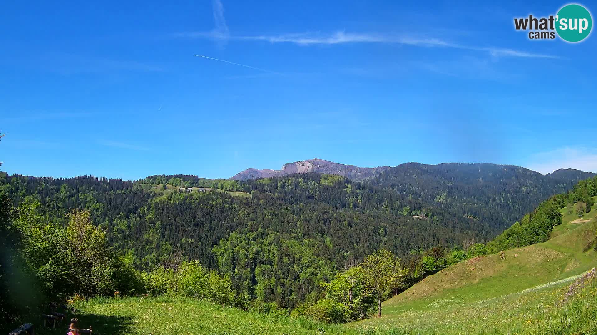 Webcam Brunarica Dražgoše – Liveblick auf Ratitovec (1666 m)