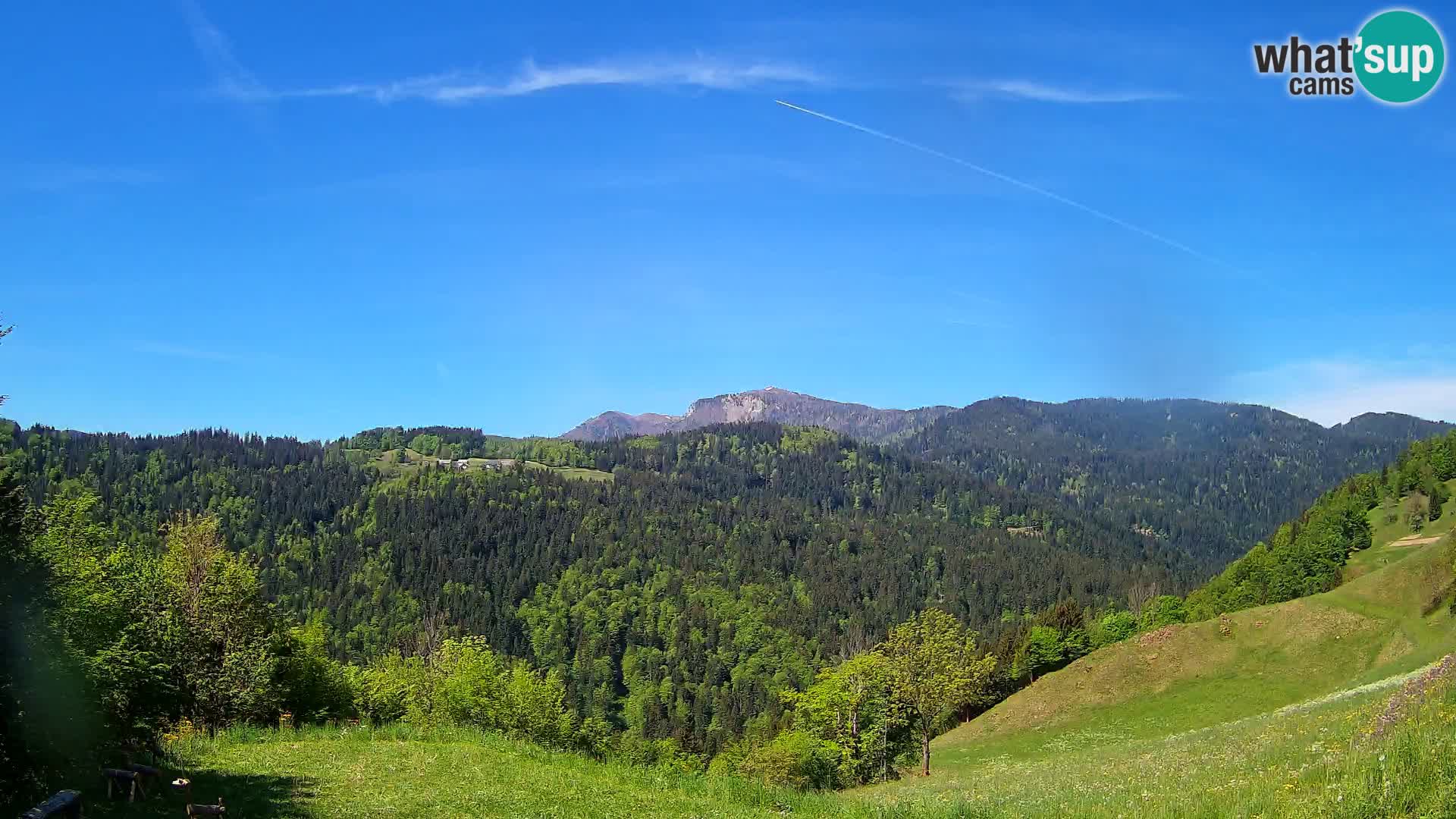 Webcam Brunarica Dražgoše – Live View of Ratitovec (1666 m)