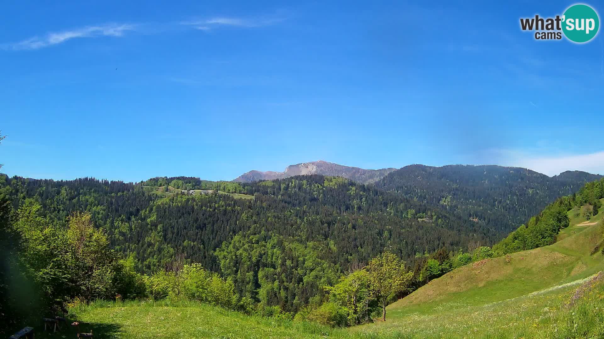 Webcam Brunarica Dražgoše – Live View of Ratitovec (1666 m)