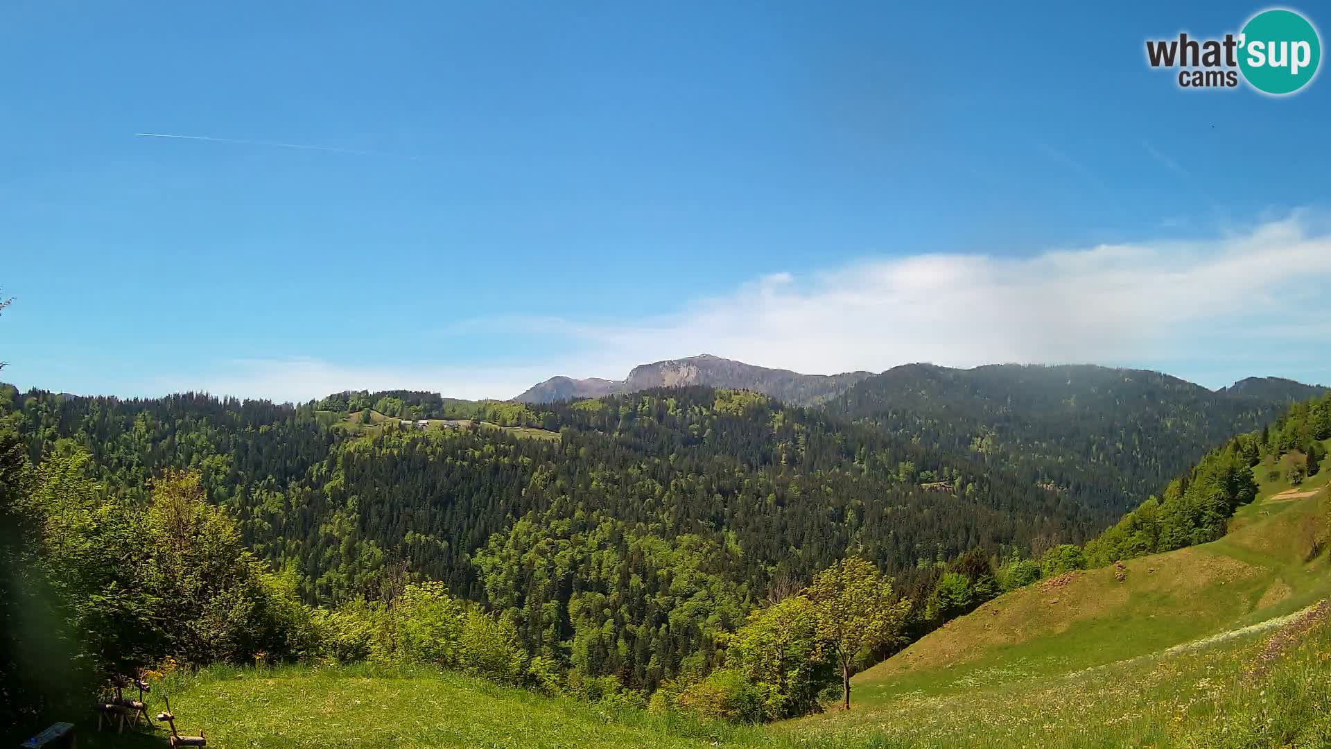Webcam Brunarica Dražgoše – Live View of Ratitovec (1666 m)