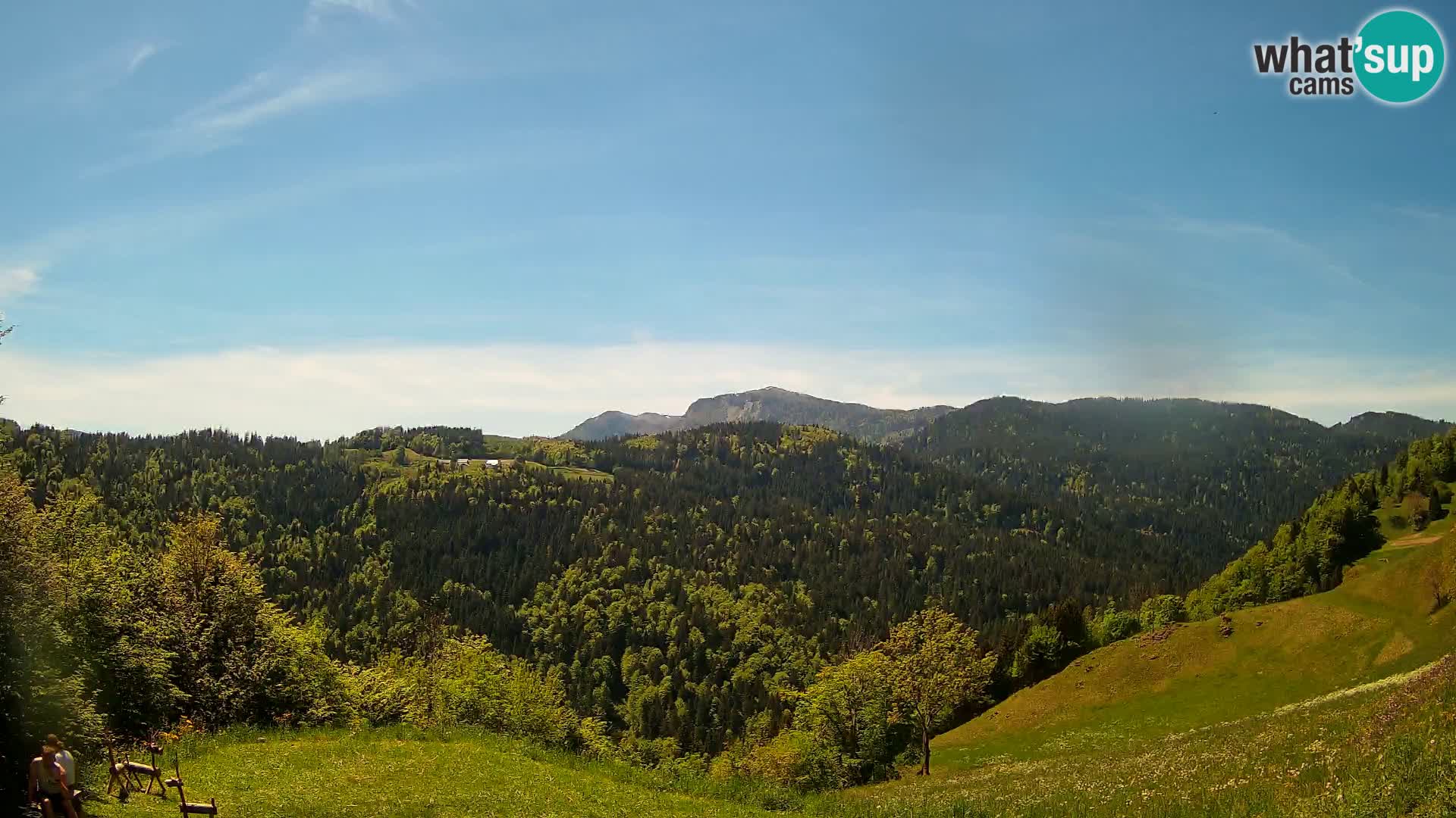 Webcam Brunarica Dražgoše – Live View of Ratitovec (1666 m)