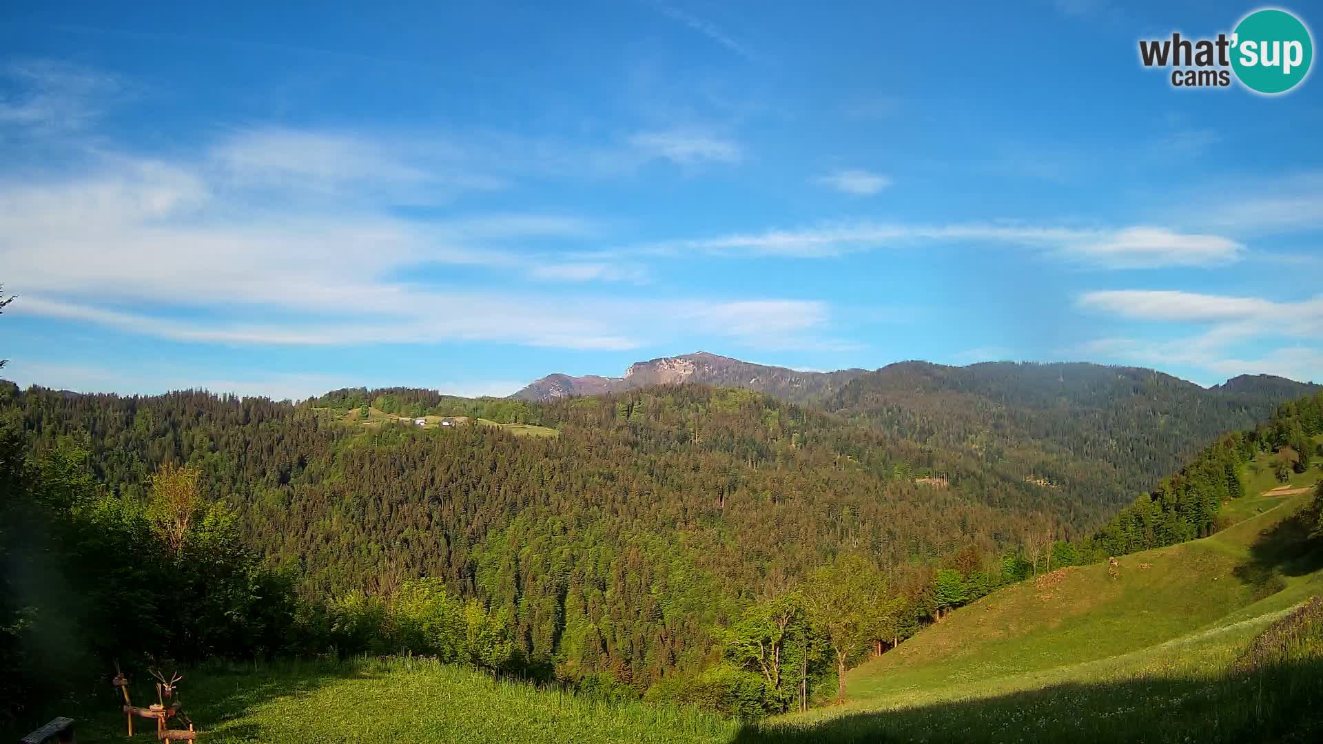 Webcam Brunarica Dražgoše – Live View of Ratitovec (1666 m)