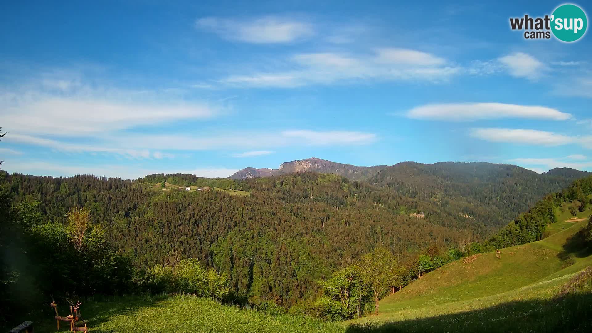 Webcam Brunarica Dražgoše – Live View of Ratitovec (1666 m)