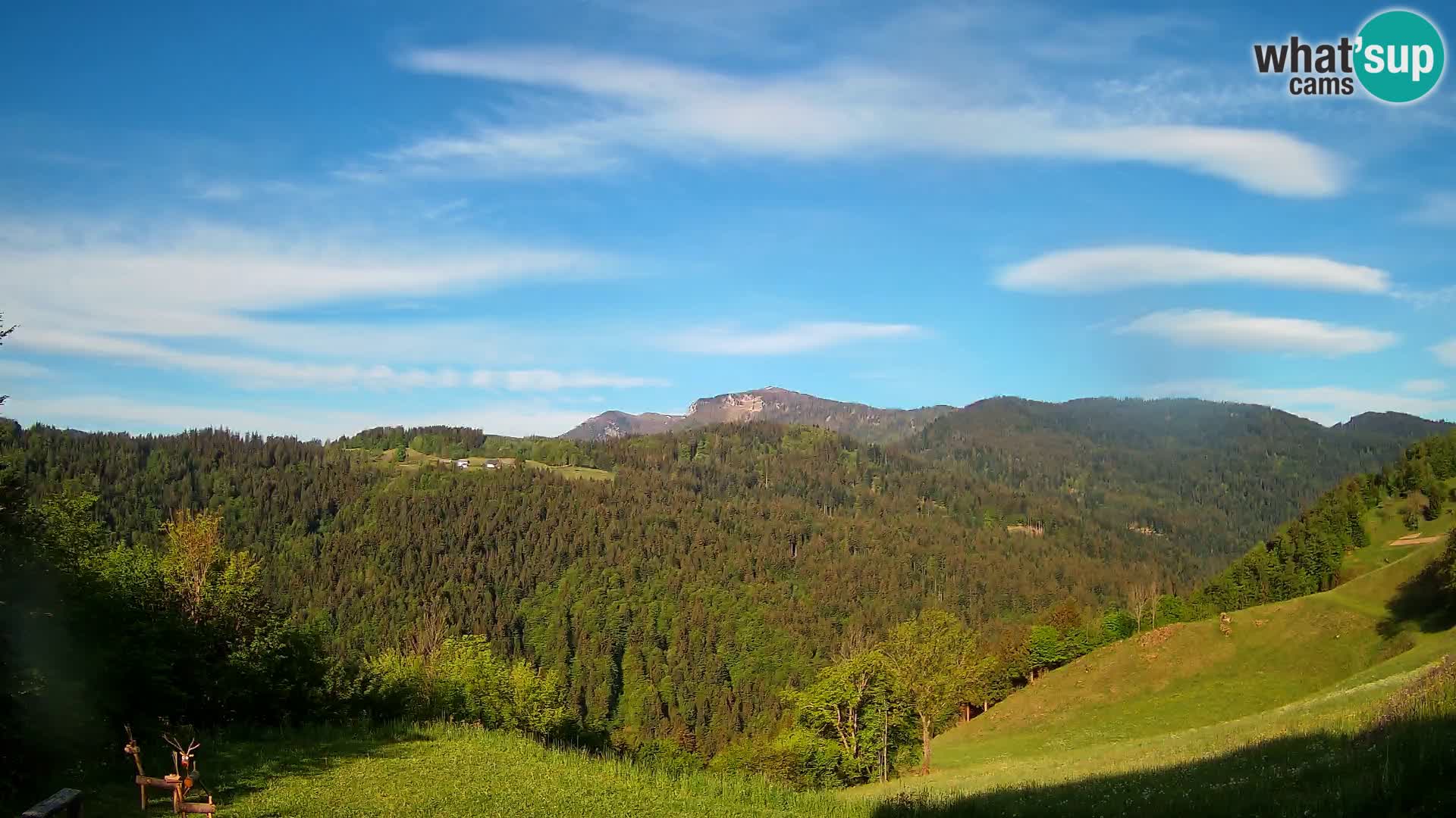 Webcam Brunarica Dražgoše – Live View of Ratitovec (1666 m)