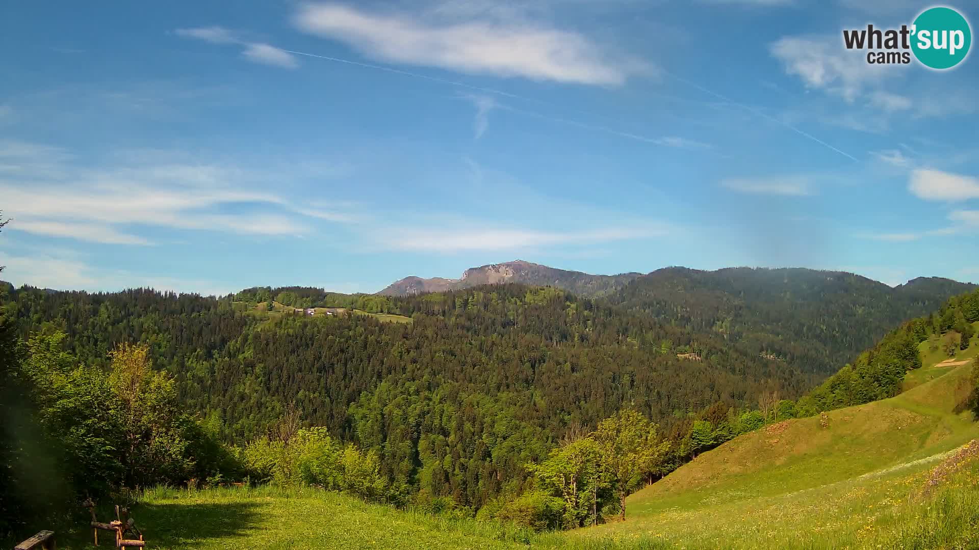 Webcam Brunarica Dražgoše – Live View of Ratitovec (1666 m)