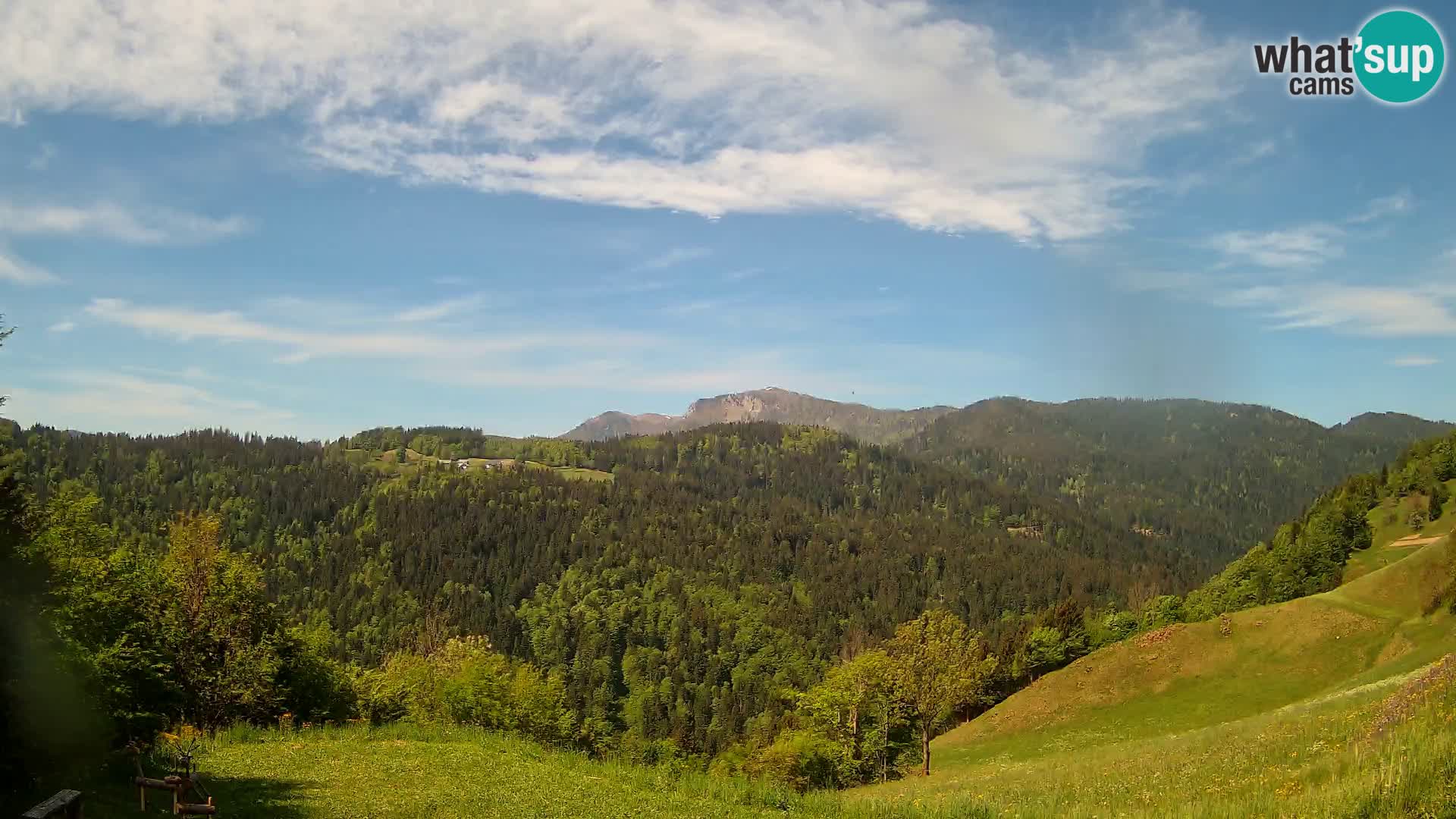 Webcam Brunarica Dražgoše – Live View of Ratitovec (1666 m)