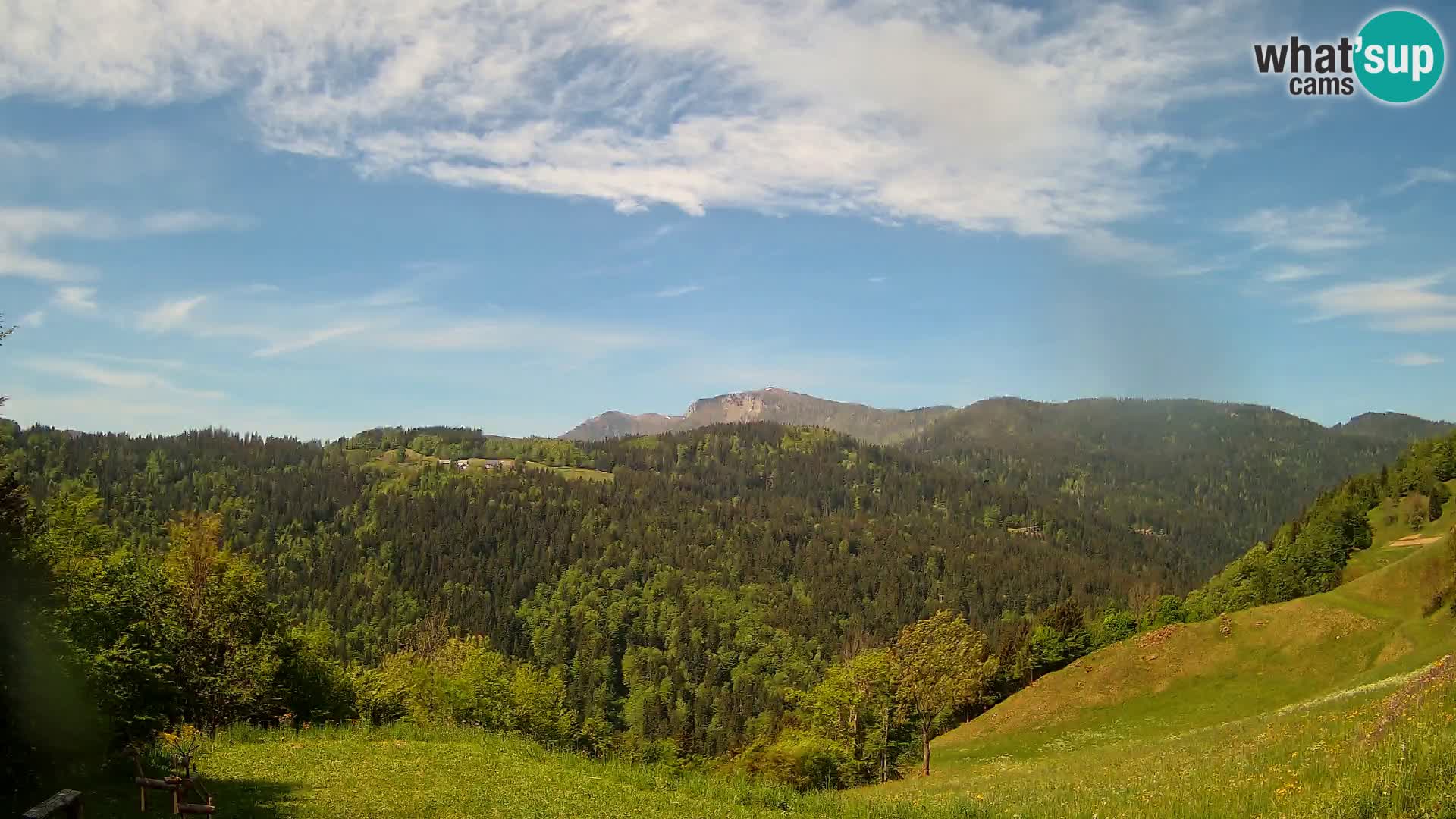 Webcam Brunarica Dražgoše – Live View of Ratitovec (1666 m)