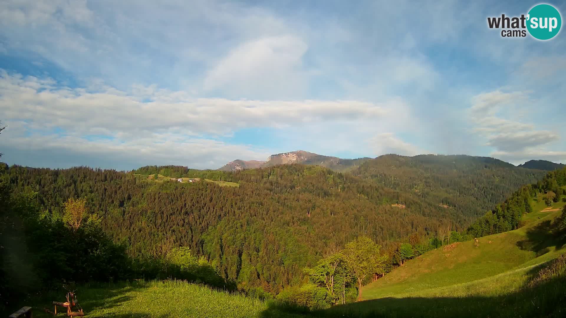 Webcam Brunarica Dražgoše – Live View of Ratitovec (1666 m)