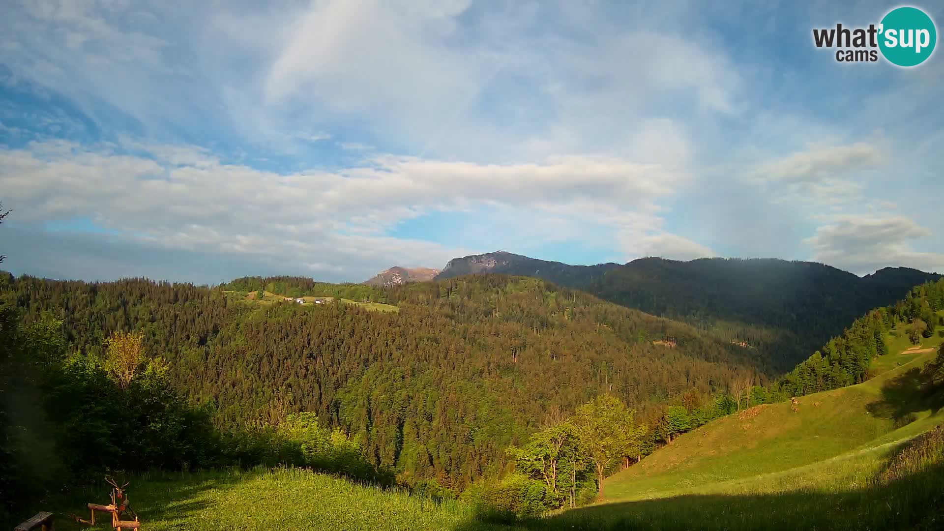 Webcam Brunarica Dražgoše – Live View of Ratitovec (1666 m)