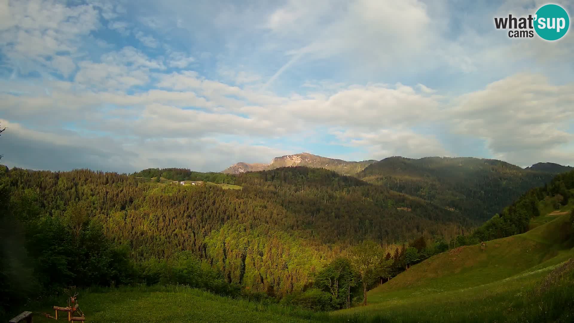 Webcam Brunarica Dražgoše – Live View of Ratitovec (1666 m)