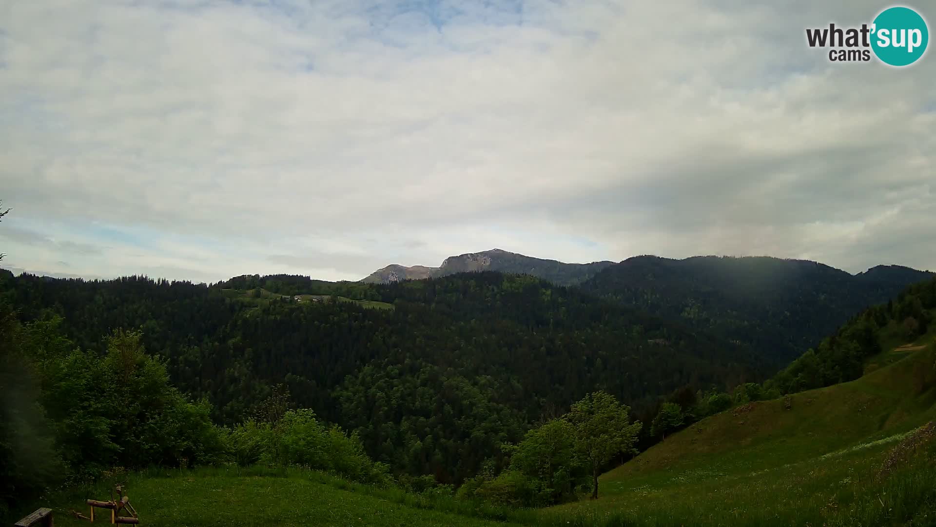 Webcam Brunarica Dražgoše – Live View of Ratitovec (1666 m)