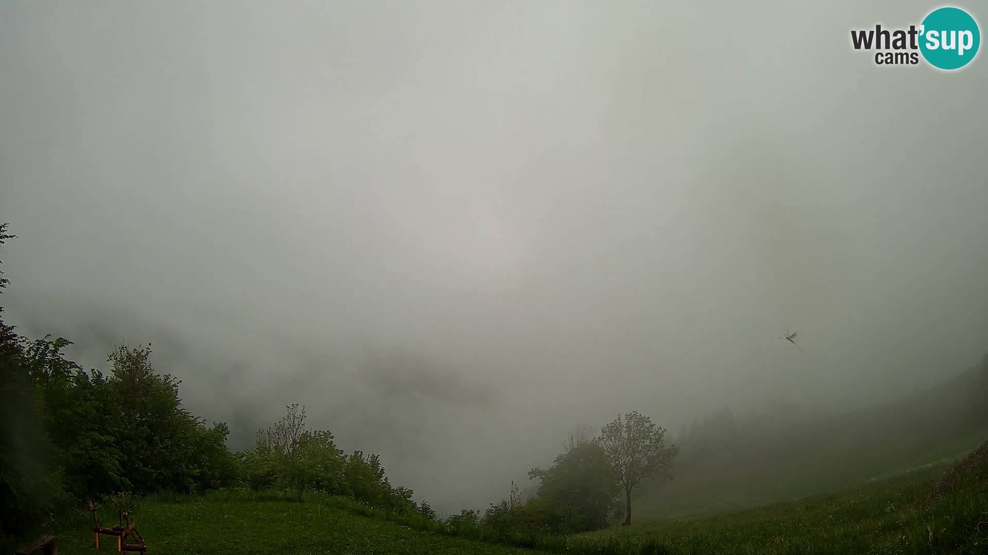 Webcam Brunarica Dražgoše – Vista live sul Ratitovec (1666 m)