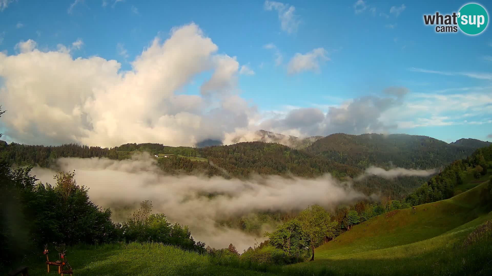 Webcam Brunarica Dražgoše – Live View of Ratitovec (1666 m)