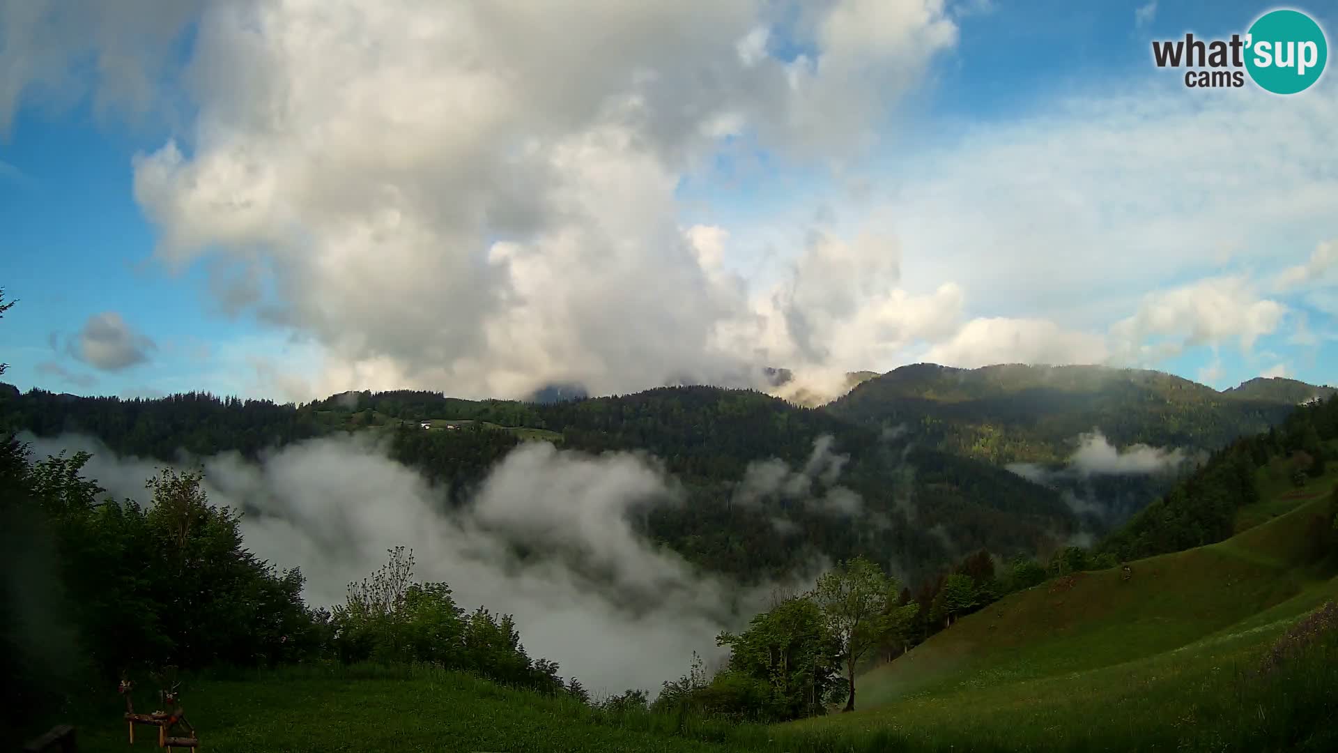 Webcam Brunarica Dražgoše – Live View of Ratitovec (1666 m)