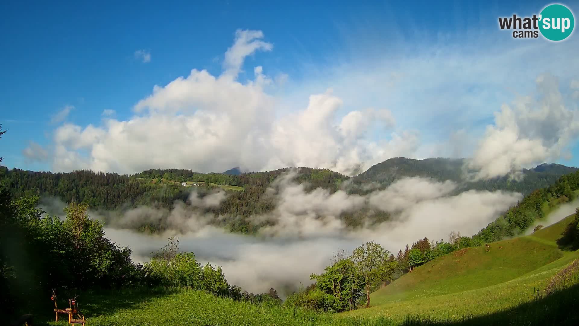 Webcam Brunarica Dražgoše – Liveblick auf Ratitovec (1666 m)