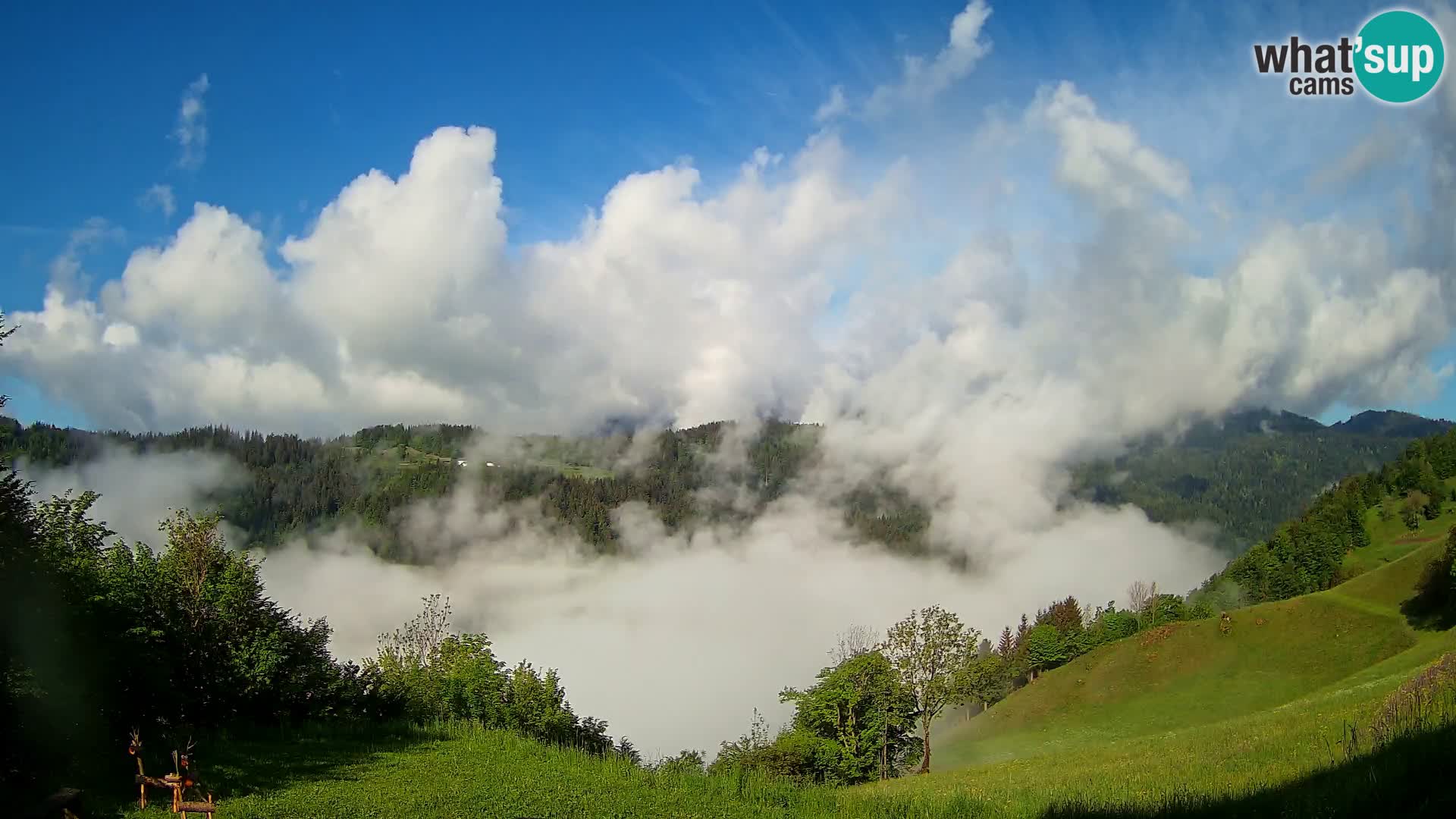 Webcam Brunarica Dražgoše – Live View of Ratitovec (1666 m)
