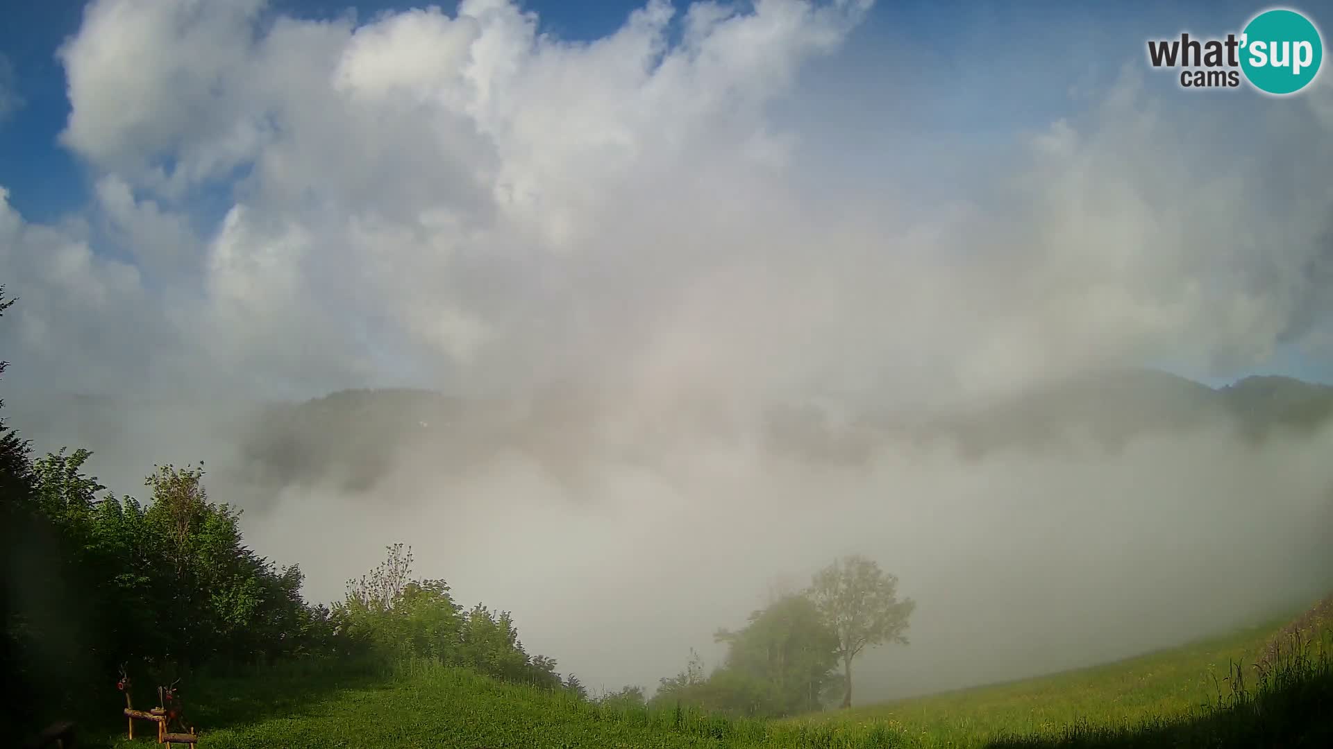 Webcam Brunarica Dražgoše – Live View of Ratitovec (1666 m)