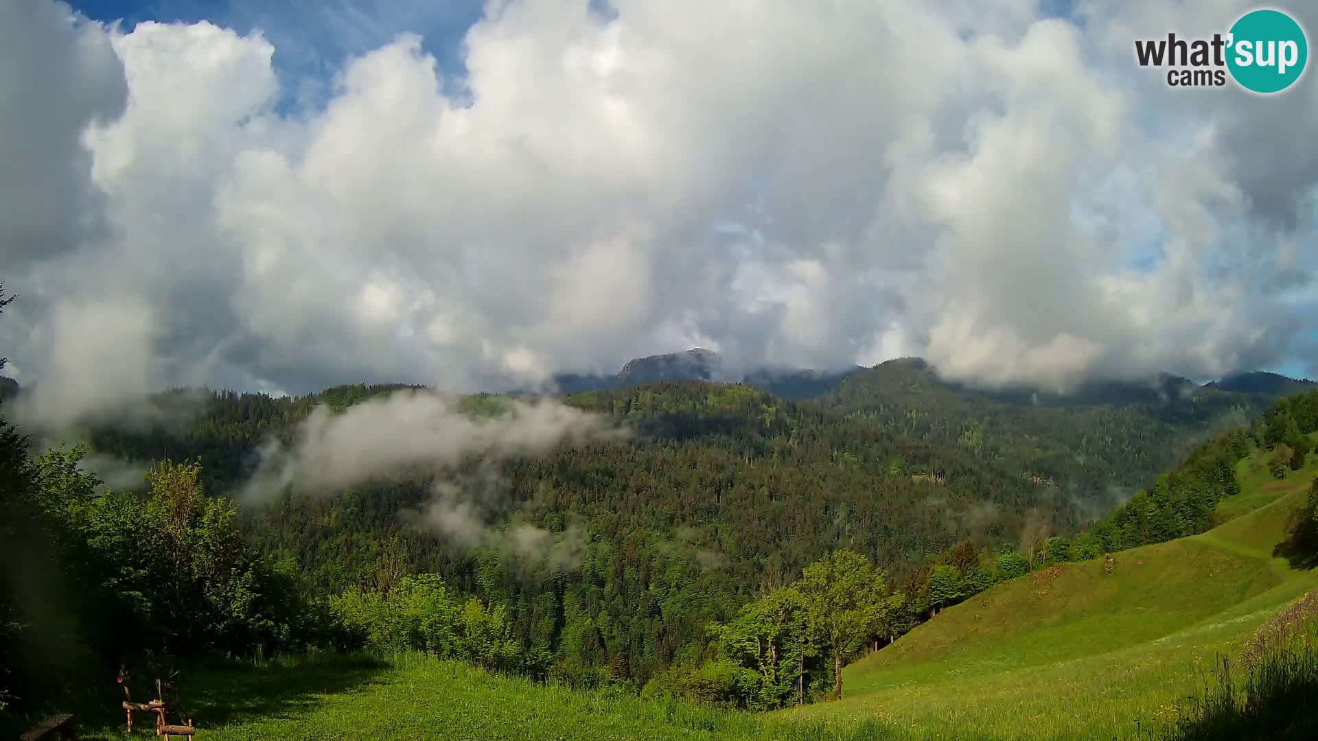 Webcam Brunarica Dražgoše – Live View of Ratitovec (1666 m)