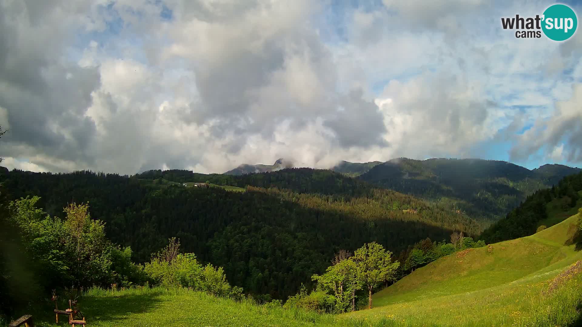 Webcam Brunarica Dražgoše – Live View of Ratitovec (1666 m)