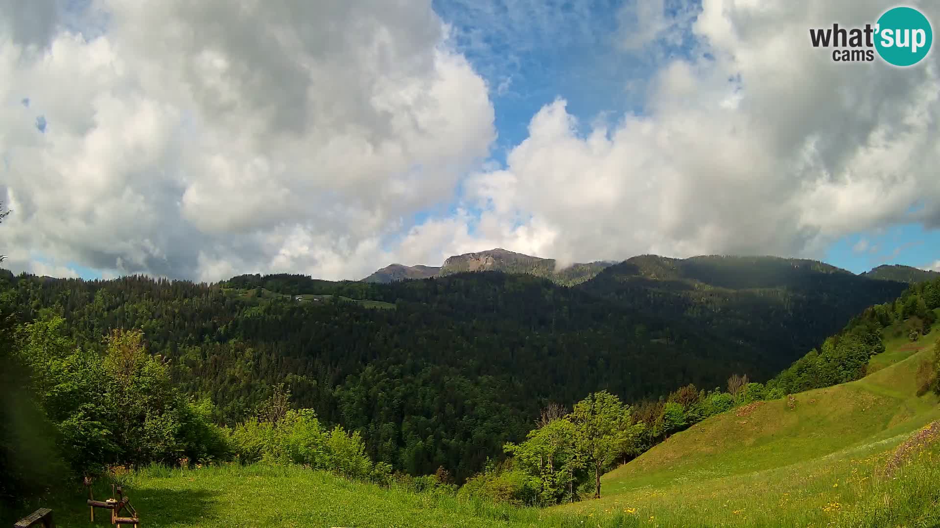 Webcam Brunarica Dražgoše – Live View of Ratitovec (1666 m)