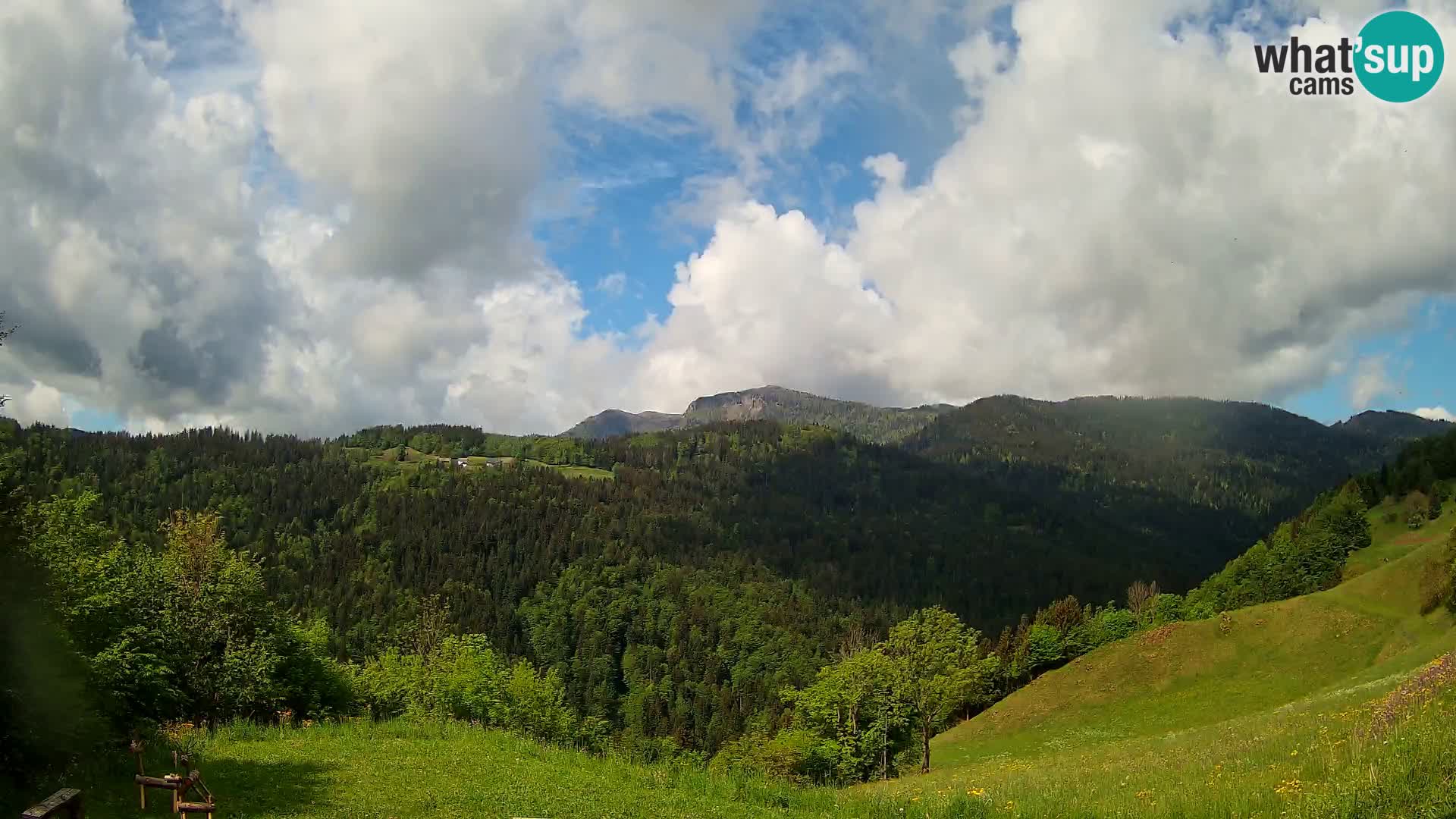 Webcam Brunarica Dražgoše – Live View of Ratitovec (1666 m)