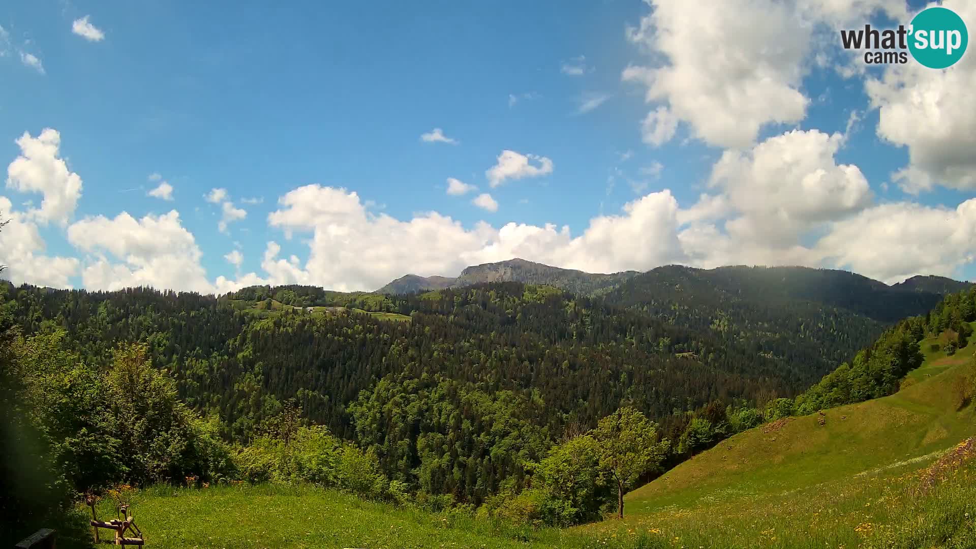 Webcam Brunarica Dražgoše – Live View of Ratitovec (1666 m)