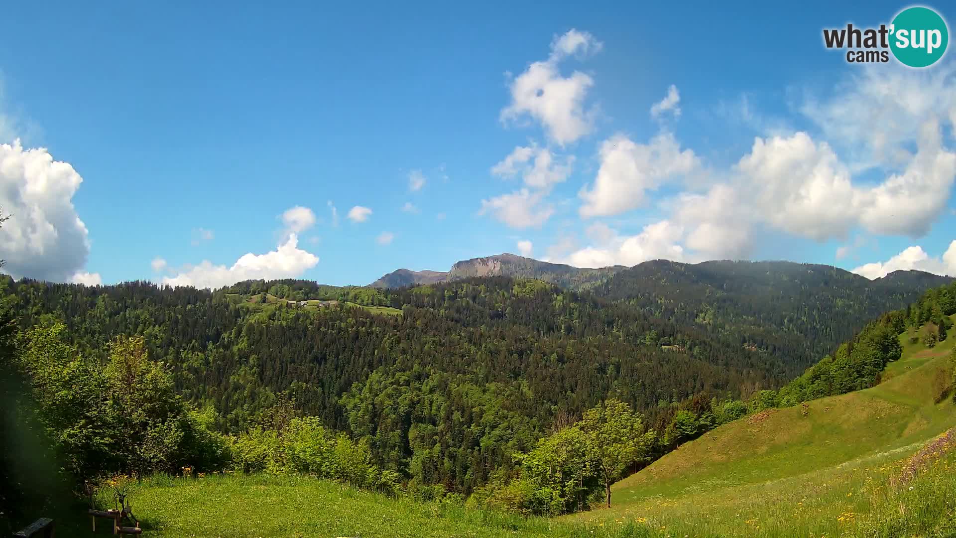 Webcam Brunarica Dražgoše – Live View of Ratitovec (1666 m)