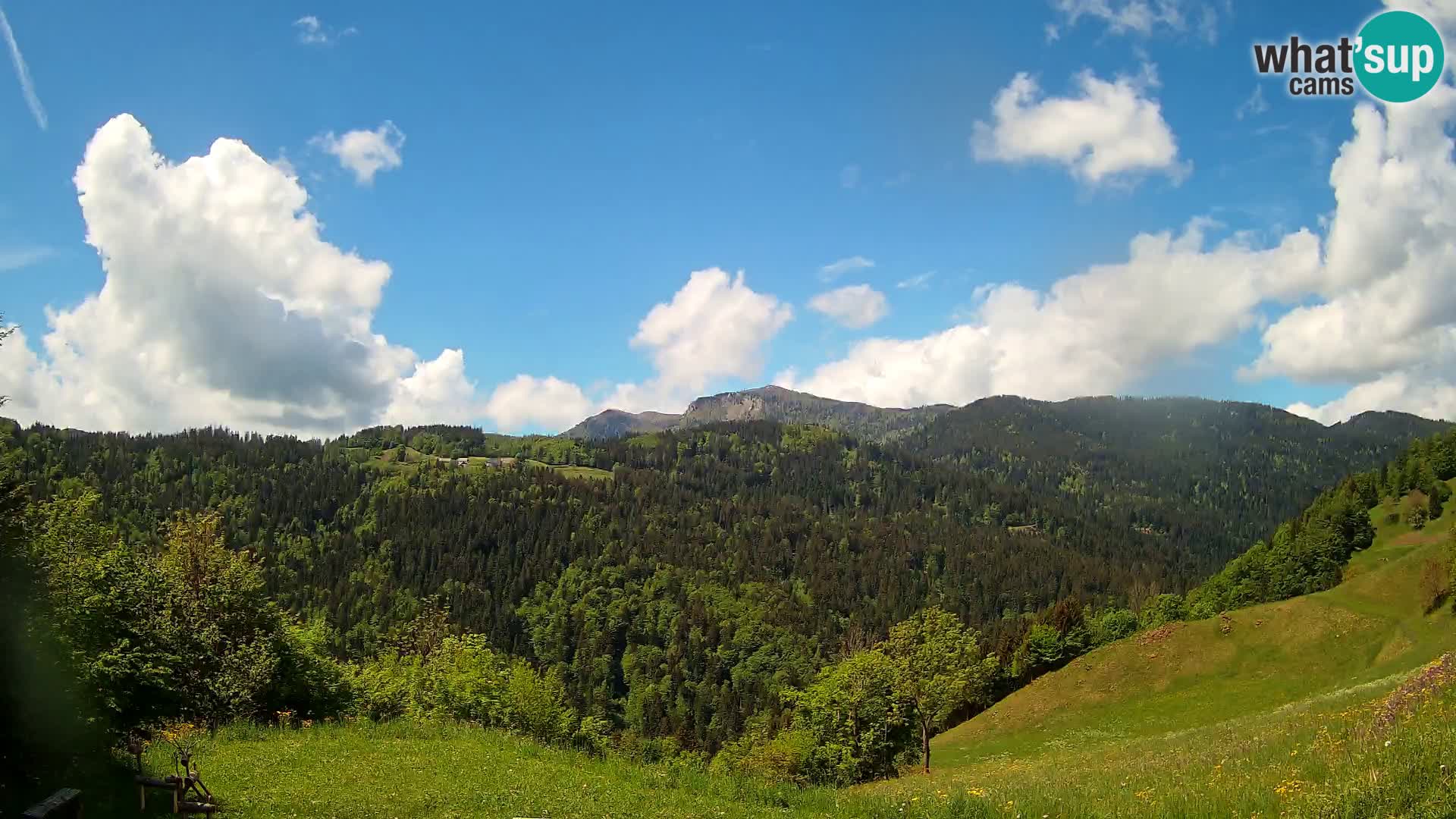 Spletna kamera Brunarica Dražgoše – Pogled v živo na Ratitovec (1666 m)