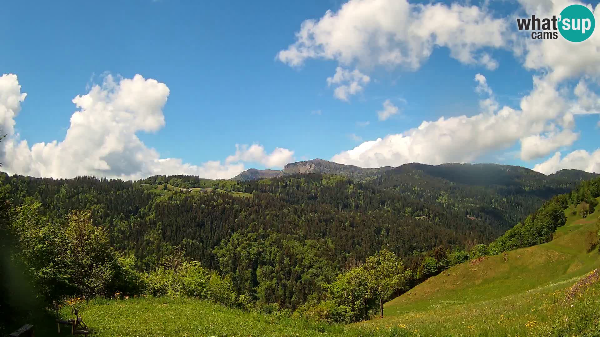 Webcam Brunarica Dražgoše – Live View of Ratitovec (1666 m)