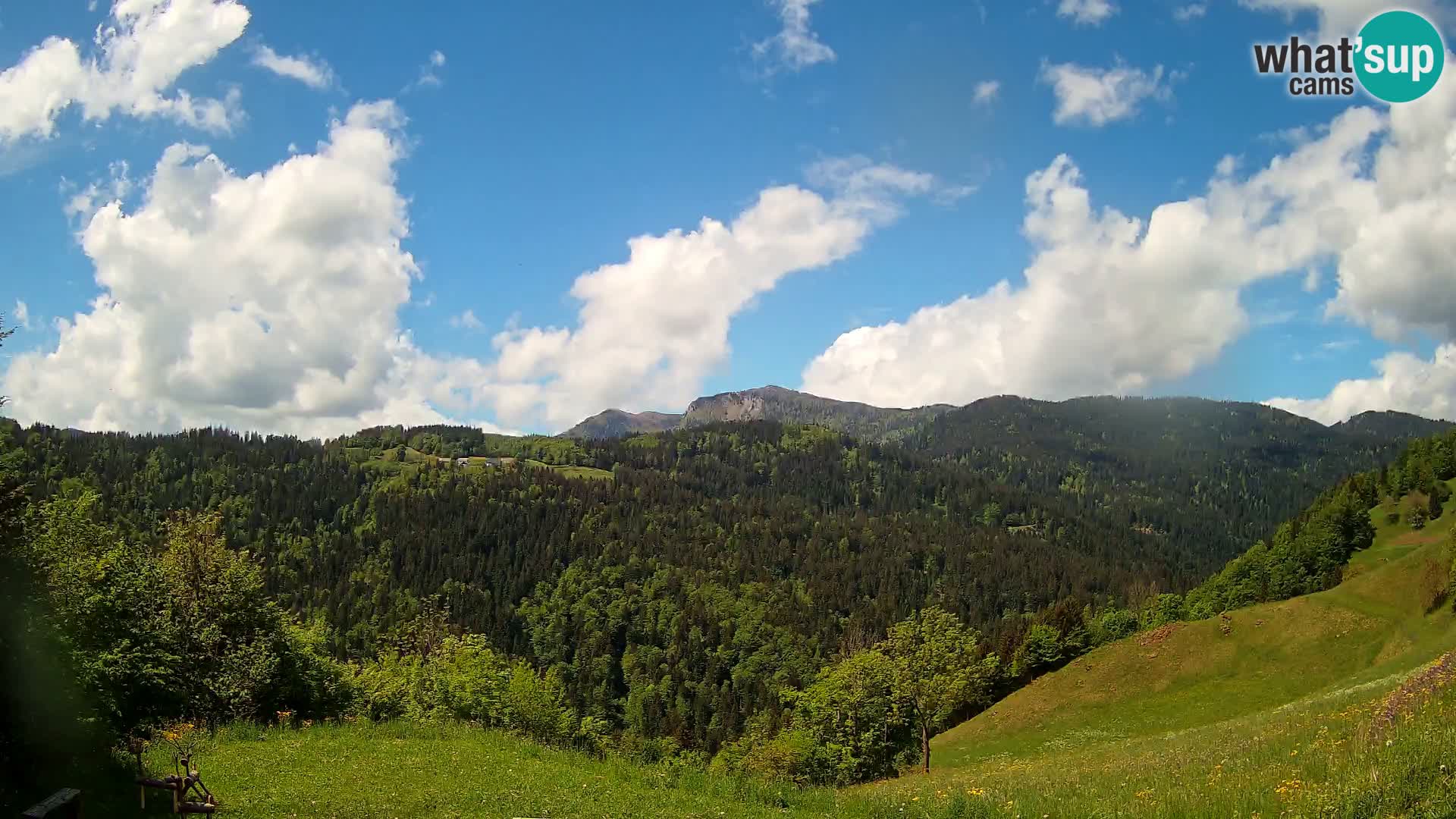 Spletna kamera Brunarica Dražgoše – Pogled v živo na Ratitovec (1666 m)